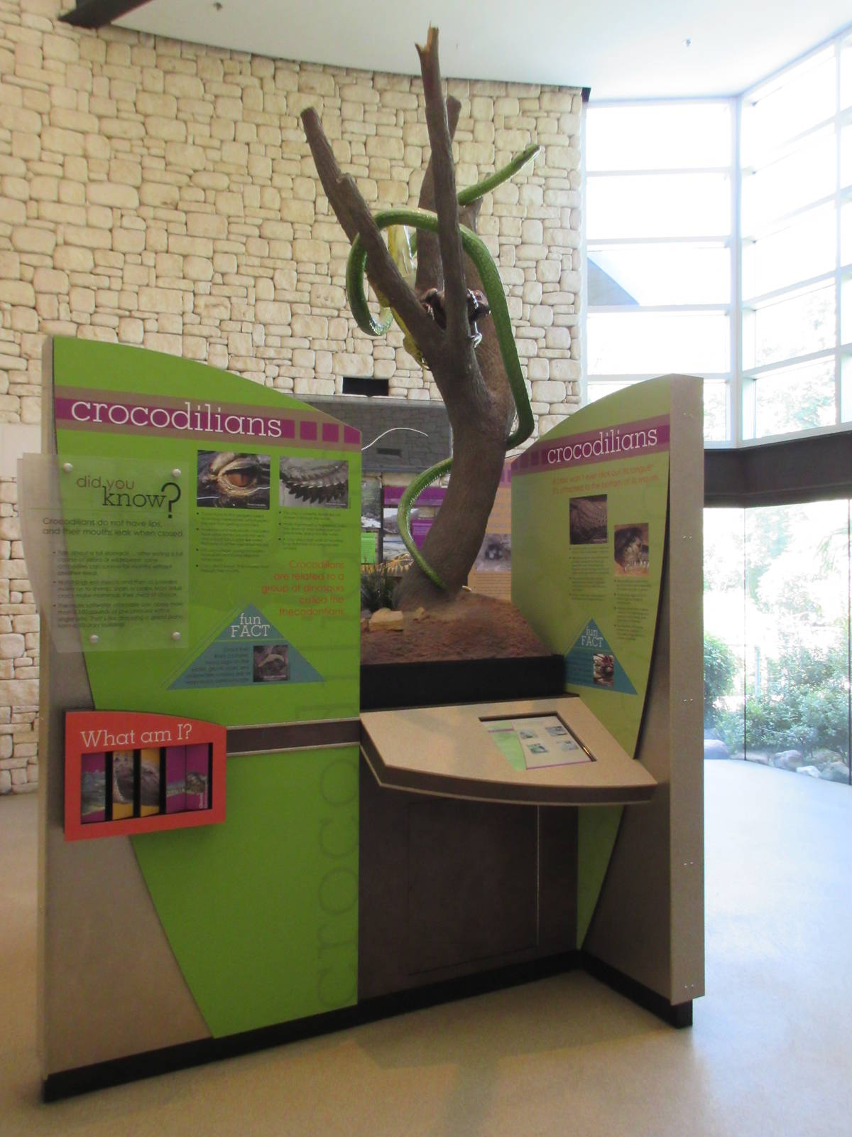 MOLA - Interpretative Graphics