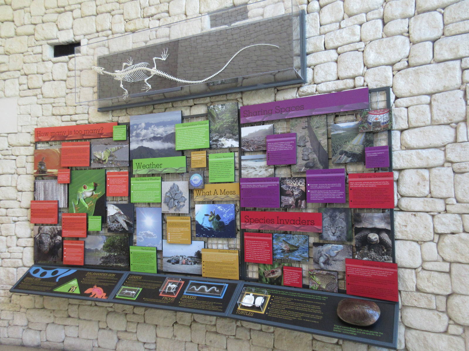 MOLA - Interpretative Graphics