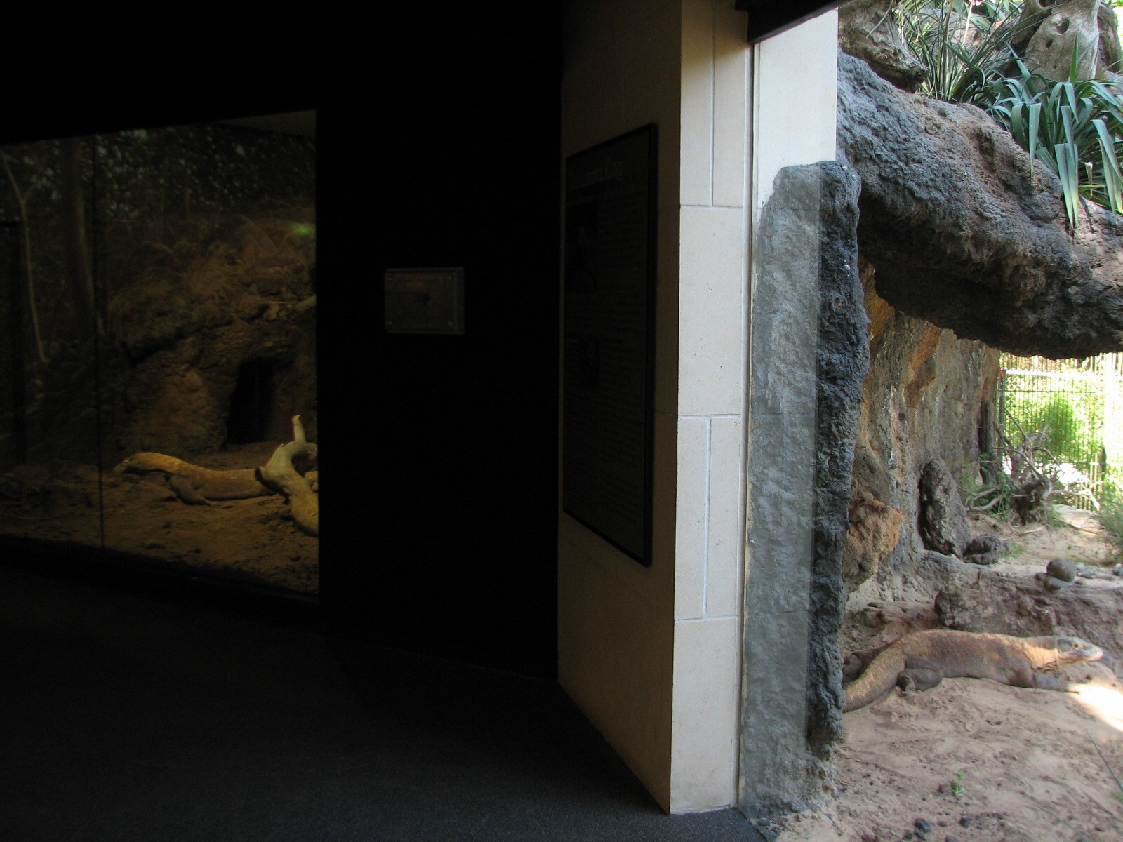 MOLA - Komodo Dragon Exhibit - Interior and Exterior Viewing Areas
