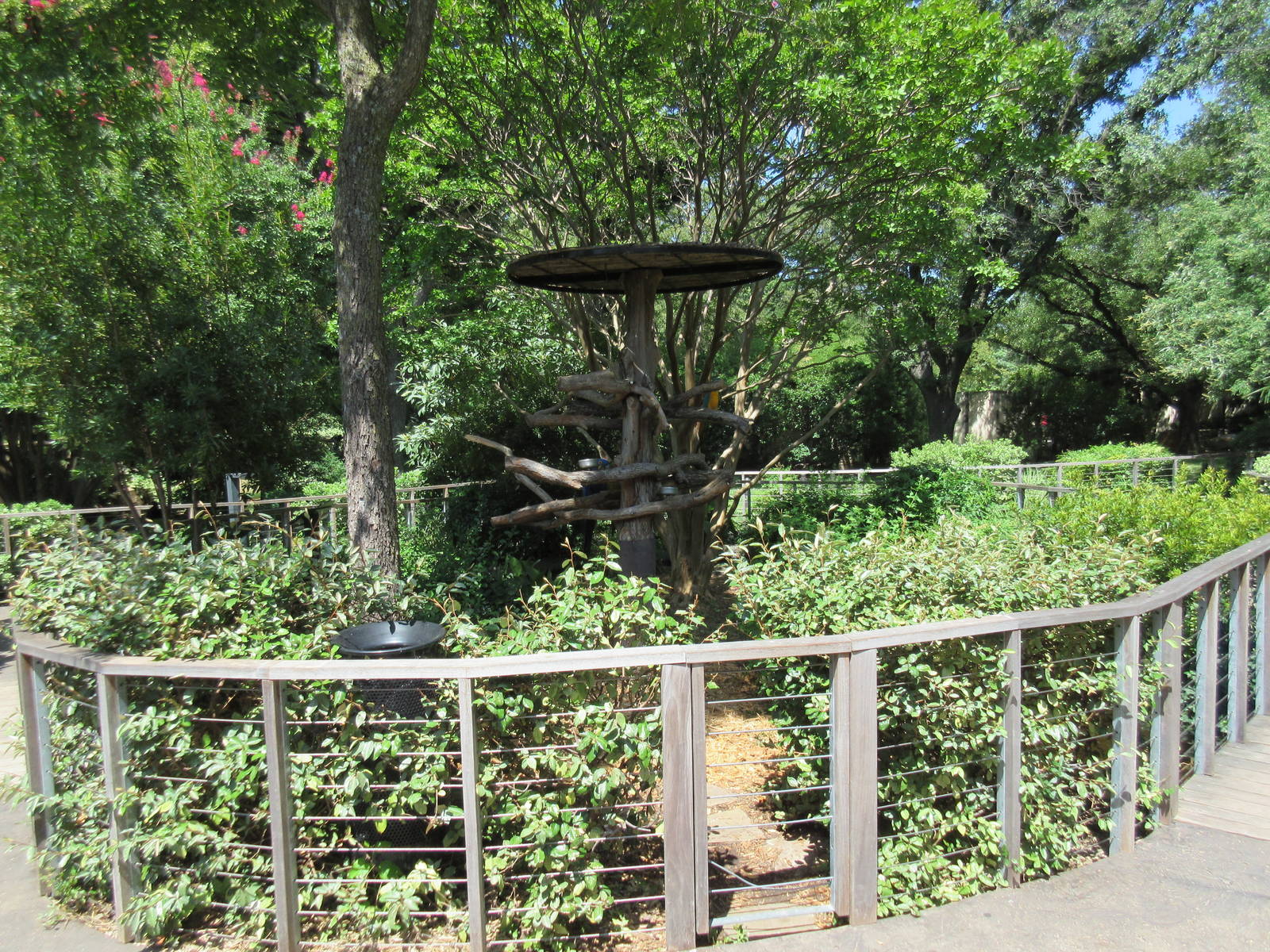 MOLA - Macaw Perches