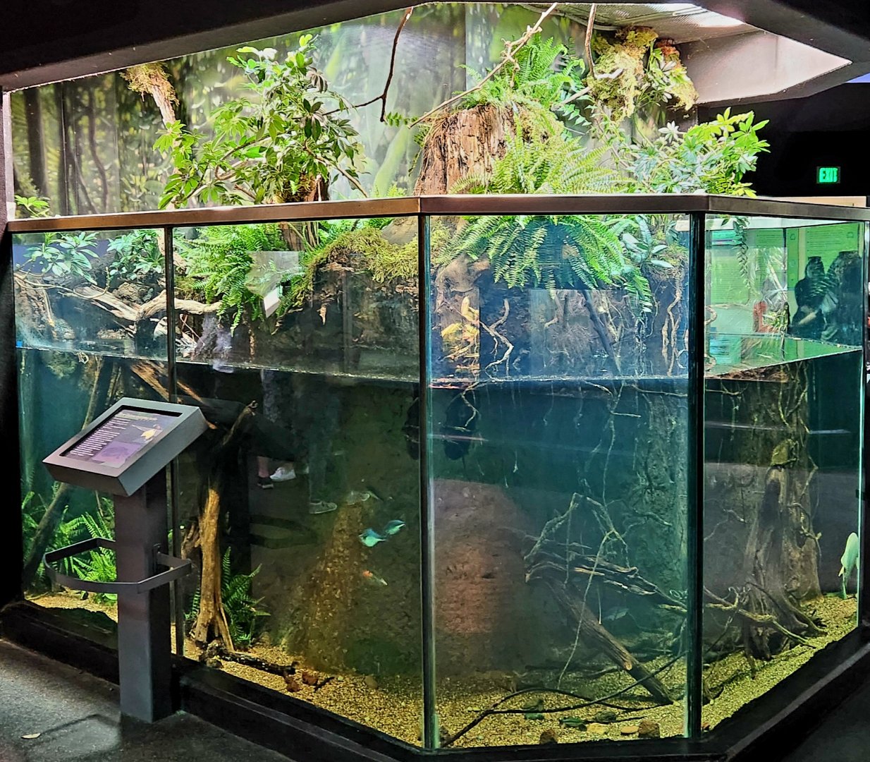 MOLA - New Guinea Exhibit
