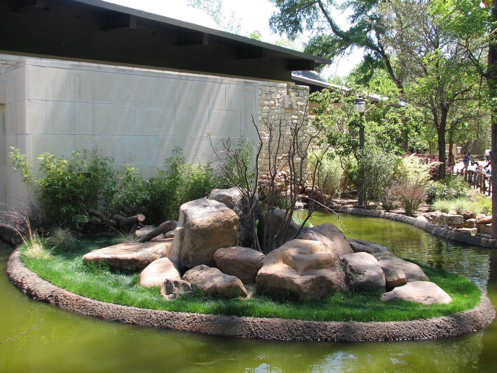 MOLA - Ring-tailed Lemur Exhibit