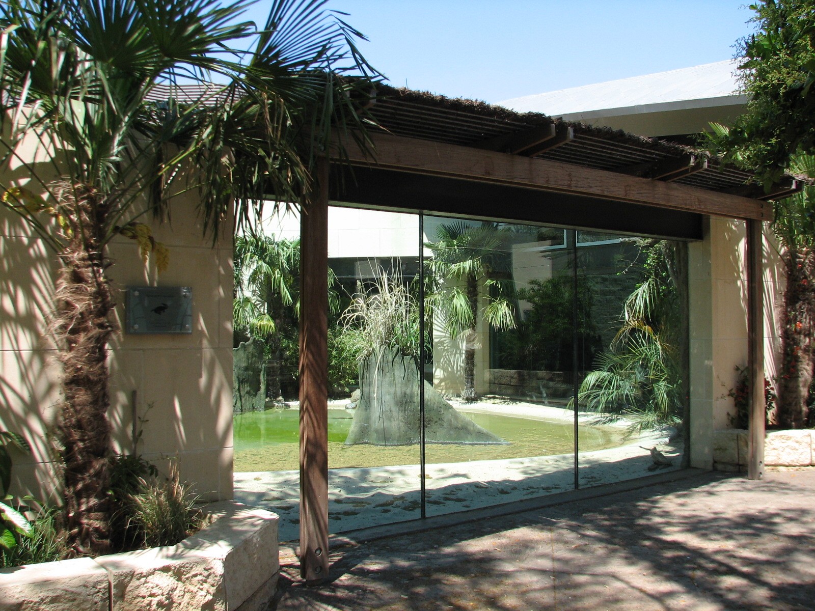 MOLA - Saltwater Crocodile Exhibit Viewing Area