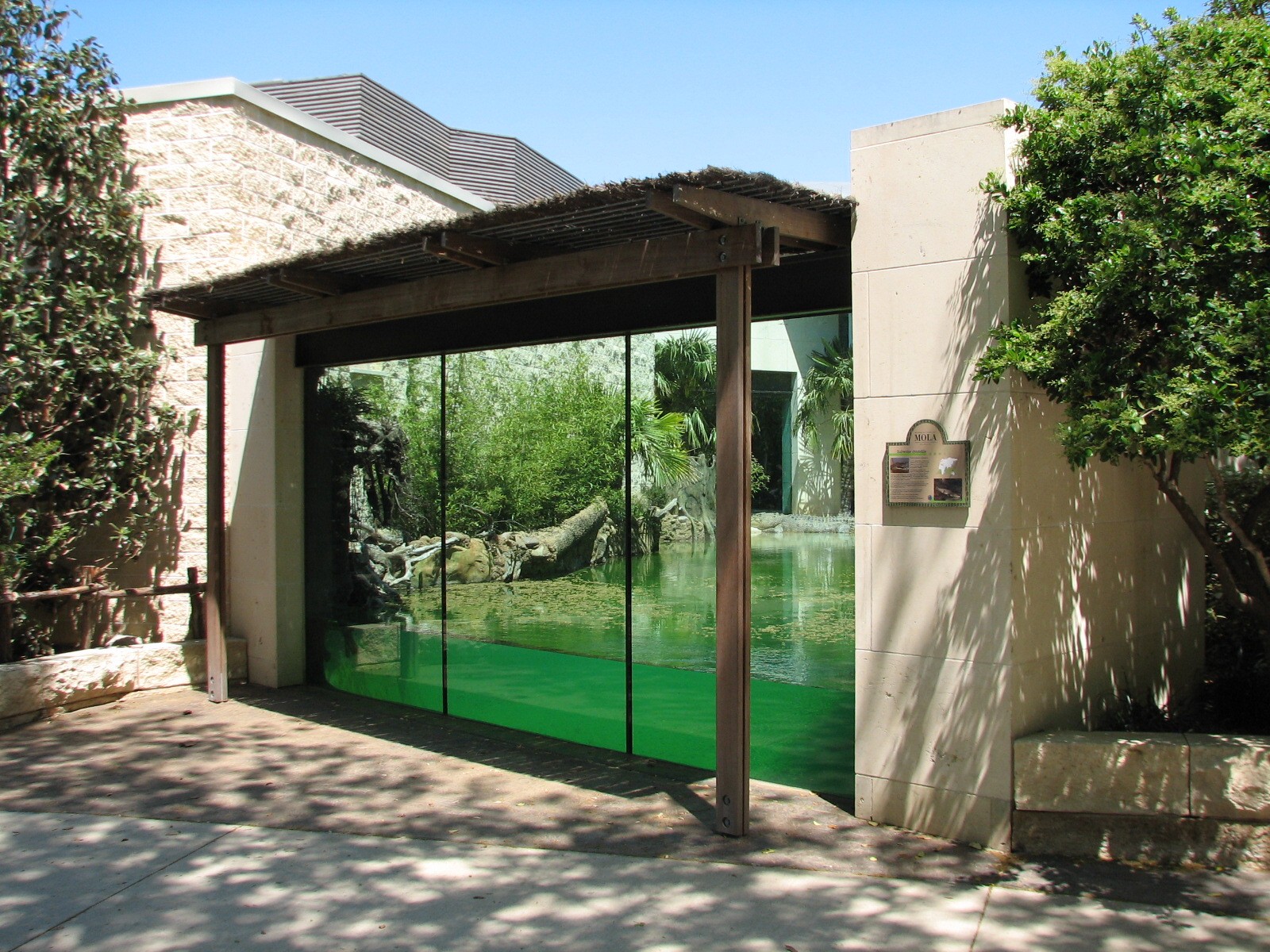 MOLA - Saltwater Crocodile Exhibit Viewing Area