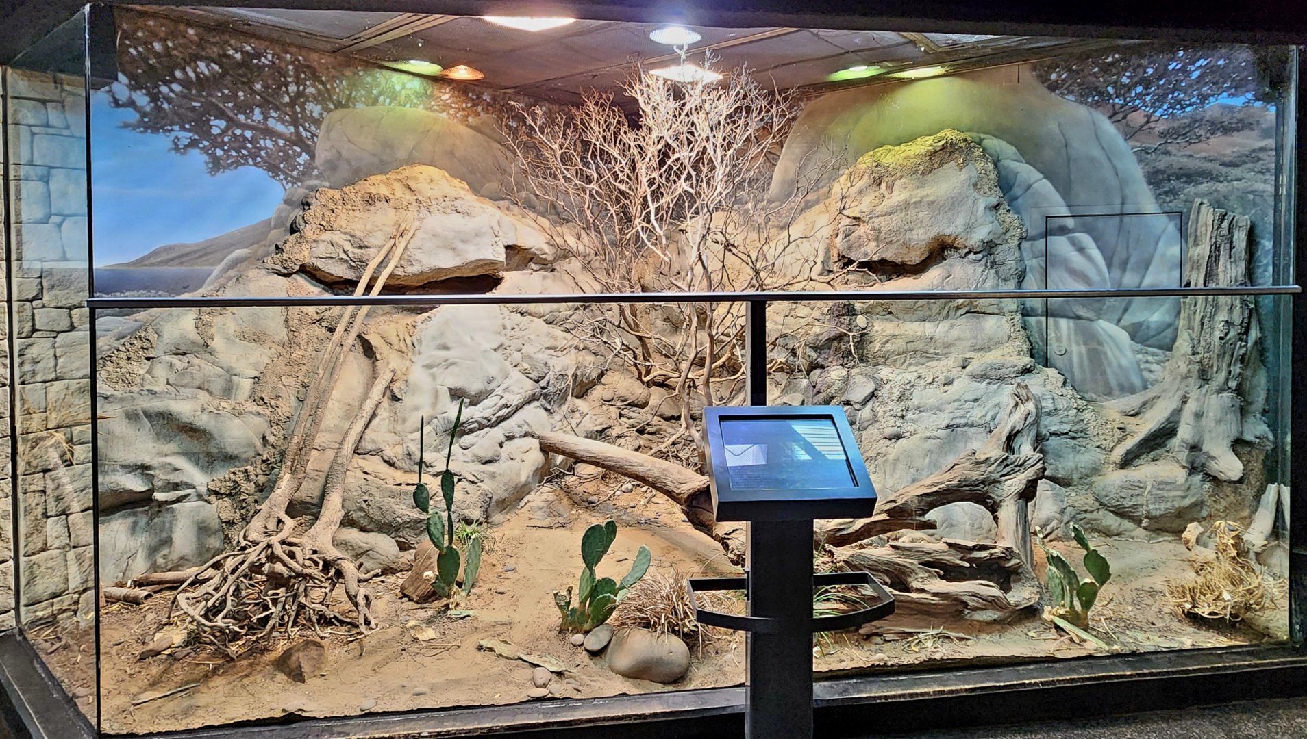 MOLA - San Esteban Island Exhibit