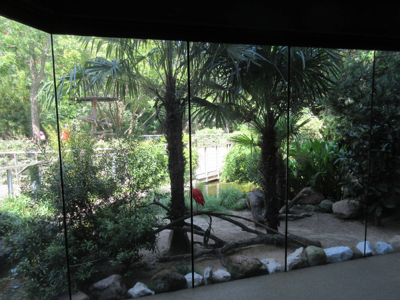 MOLA - Scarlet Ibis Exhibit