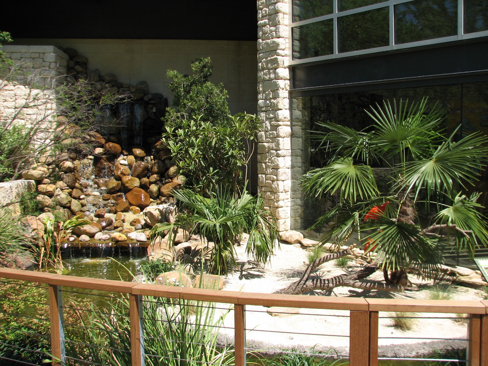 MOLA - Scarlet Ibis Exhibit