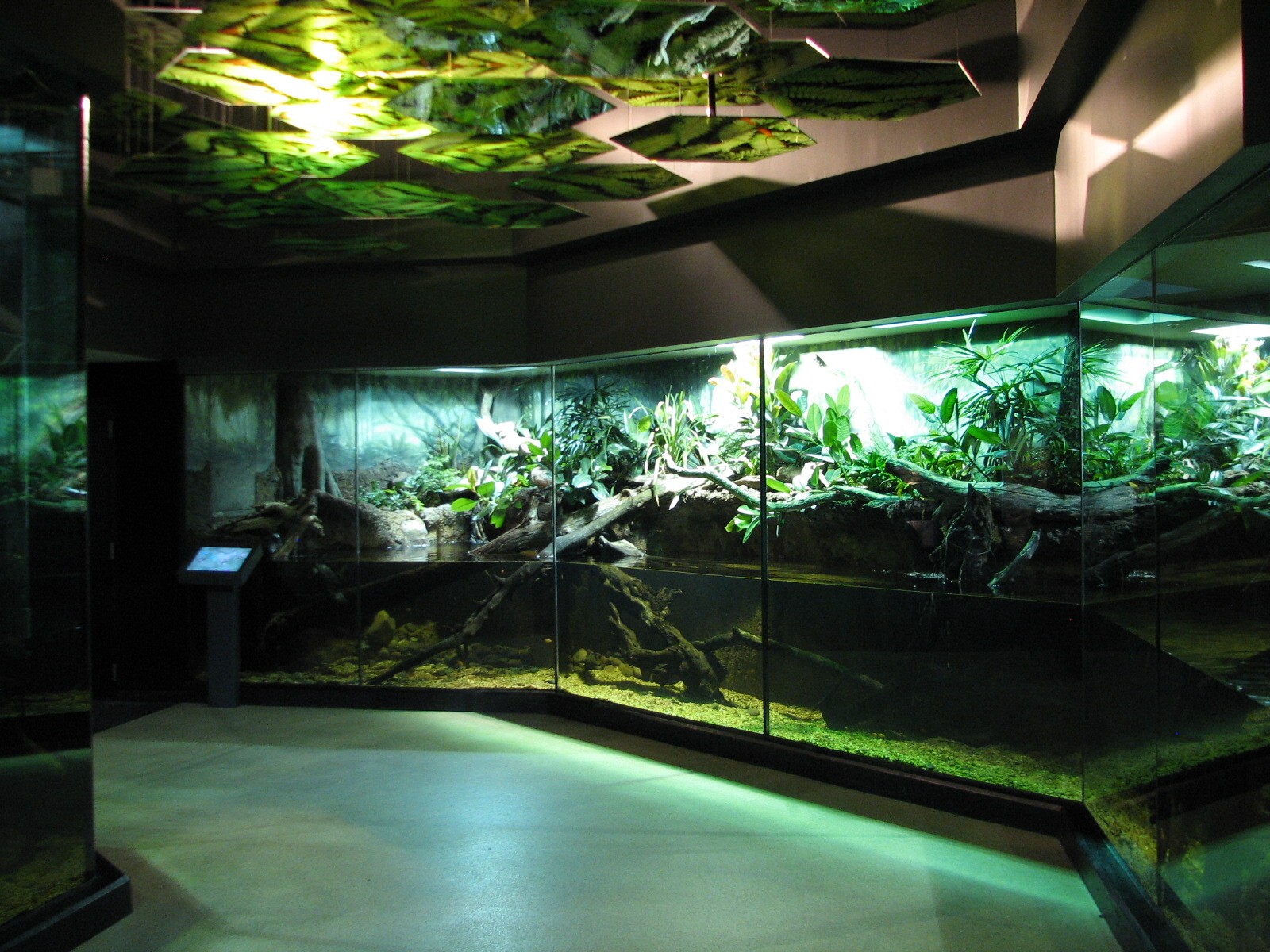 MOLA - Tropical Trails Exhibit