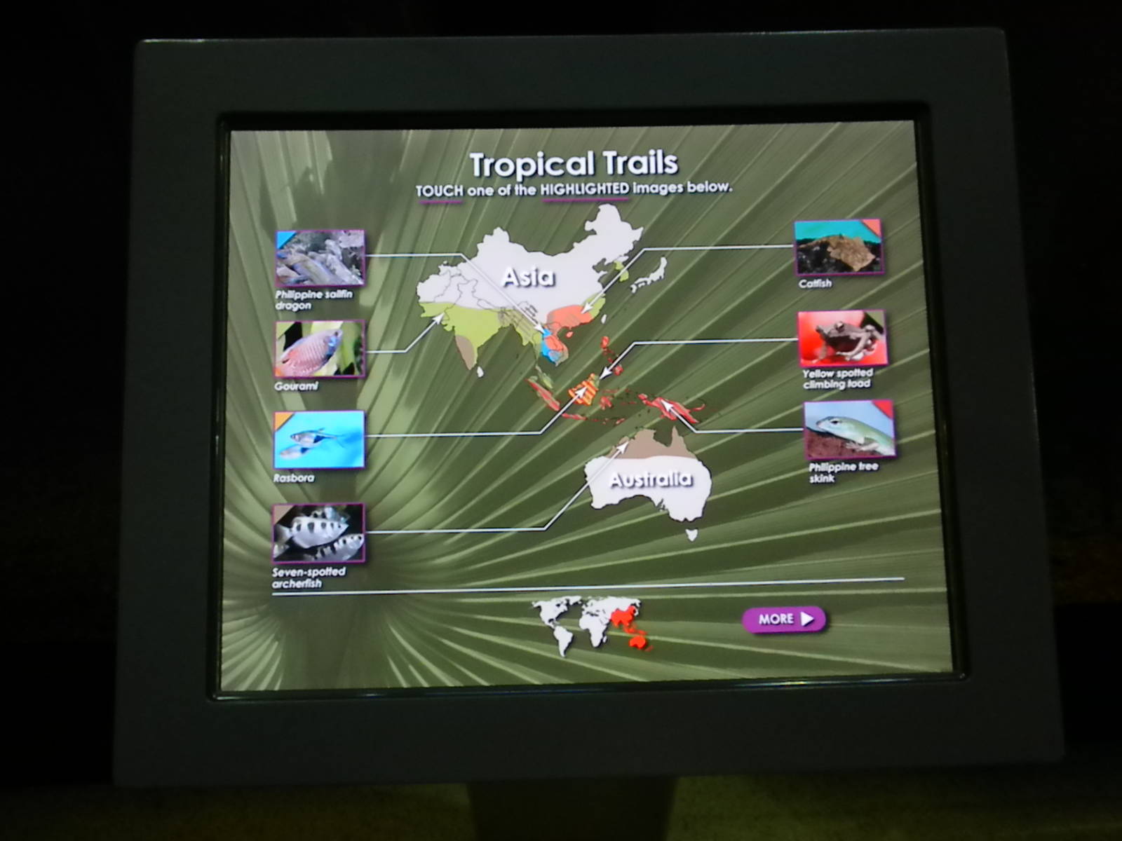 MOLA - Tropical Trails