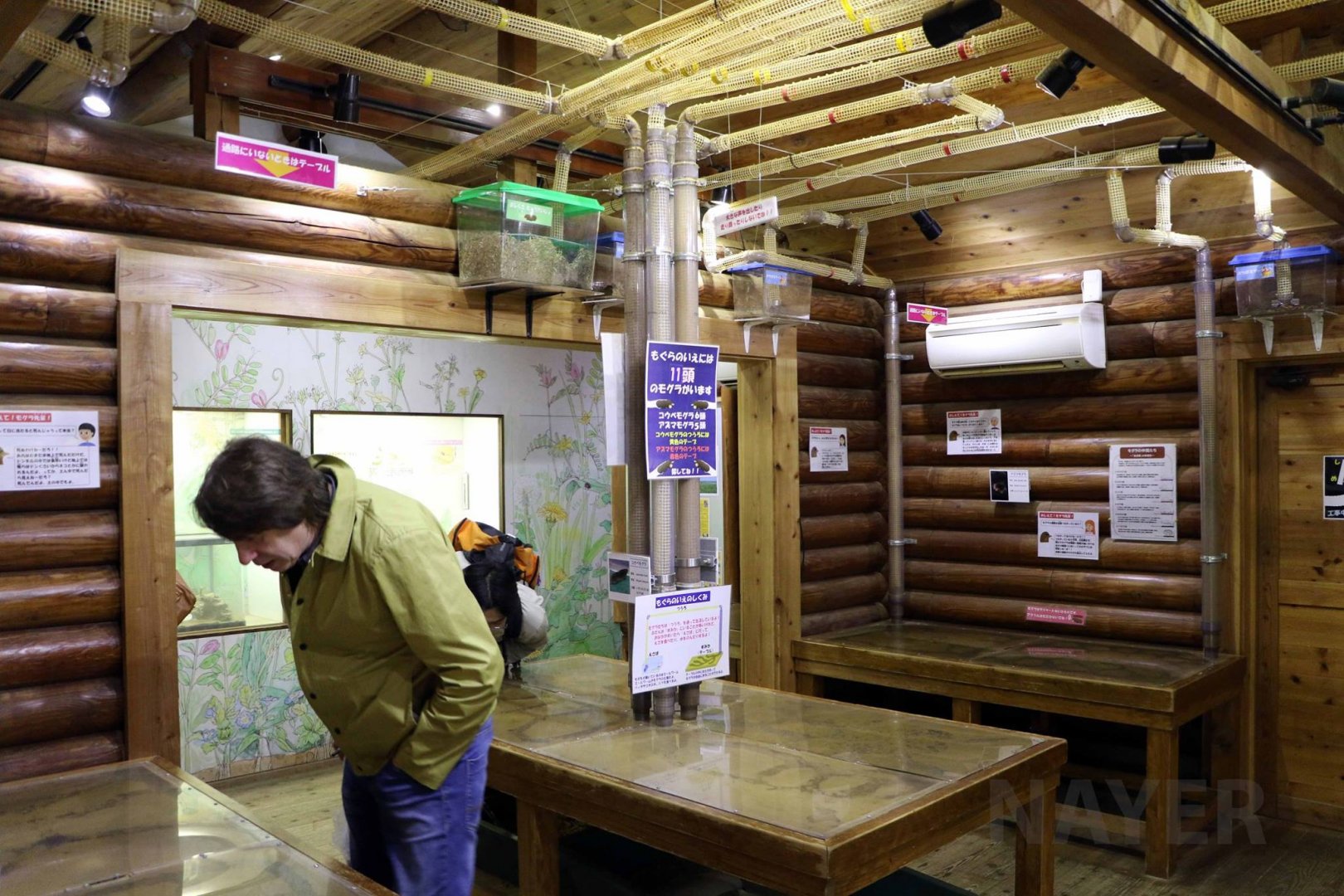 Mole house - with zoochatter, October 2017