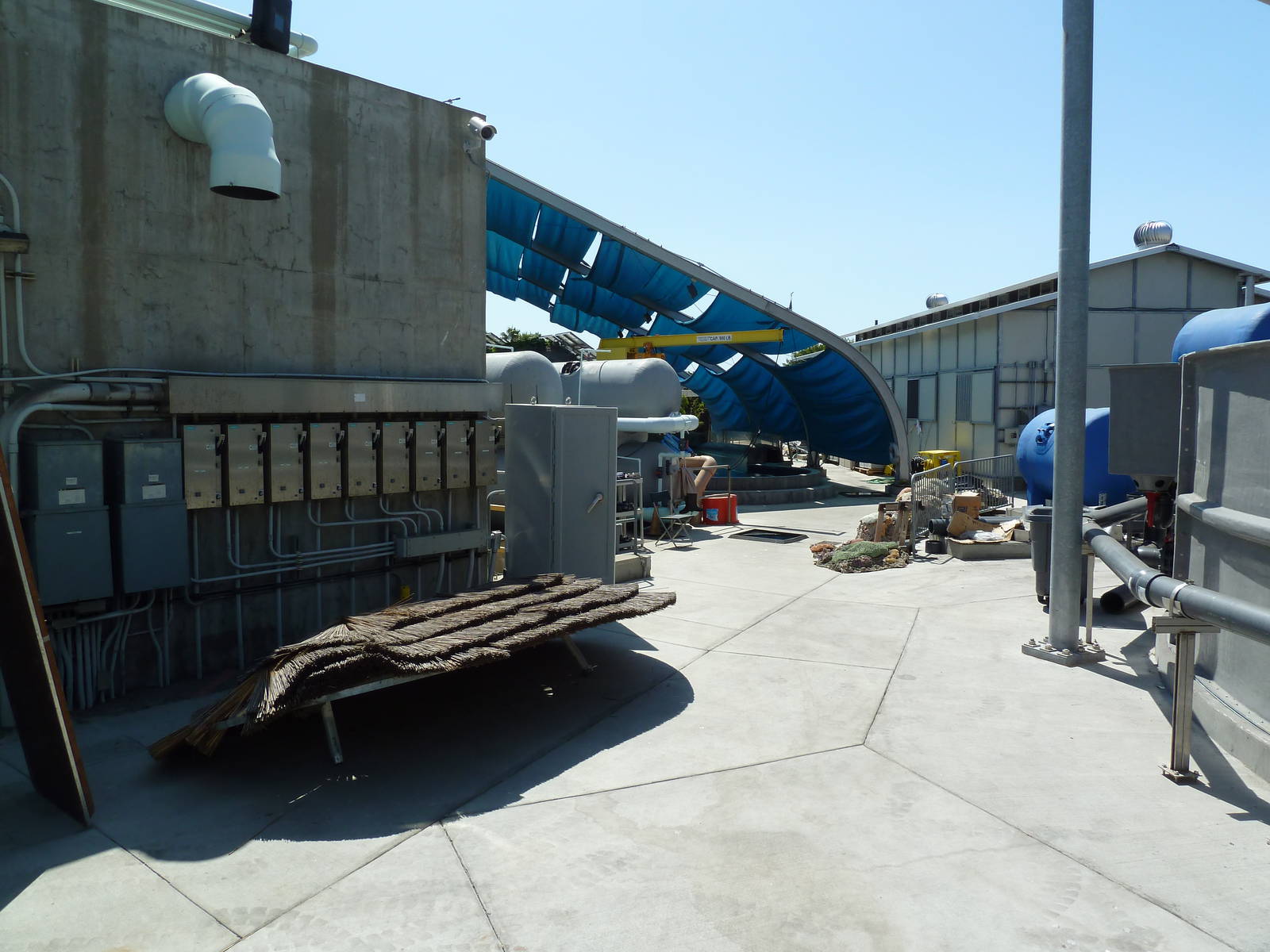 Molina Animal Care Center - Off-Exhibit Area