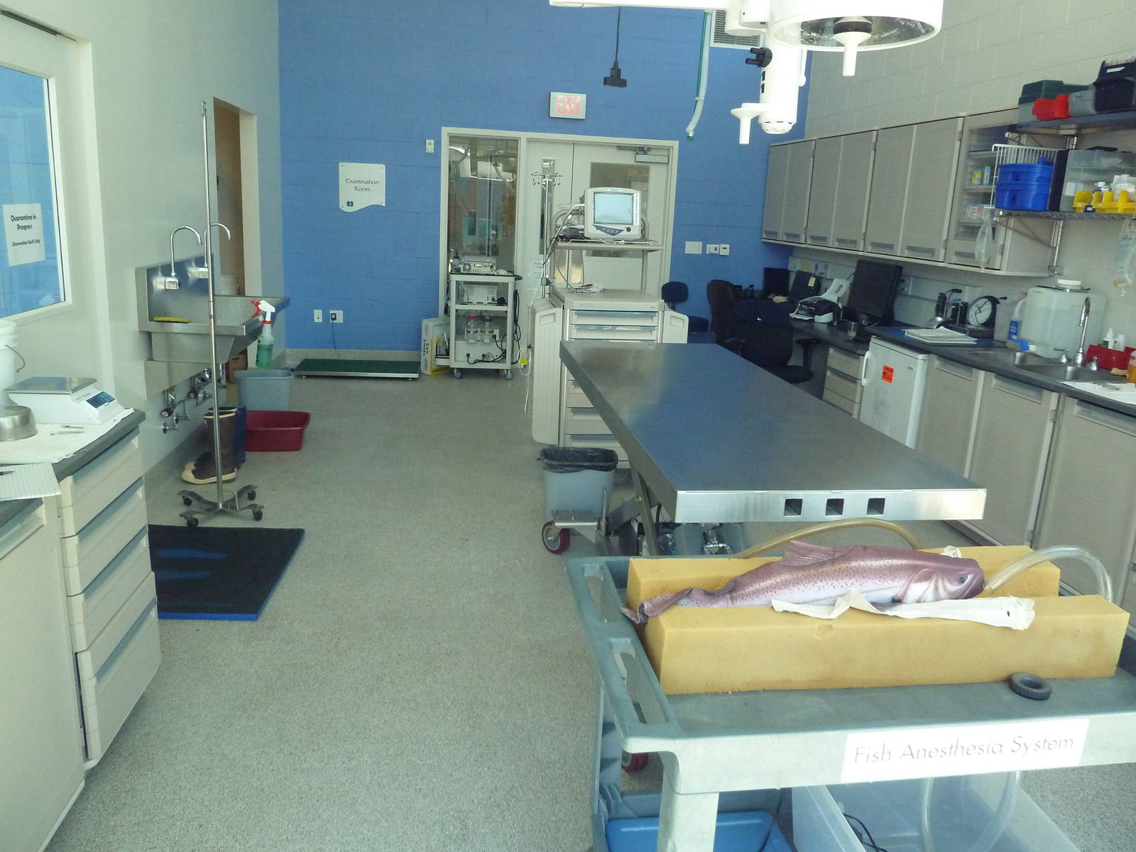 Molina Animal Care Center