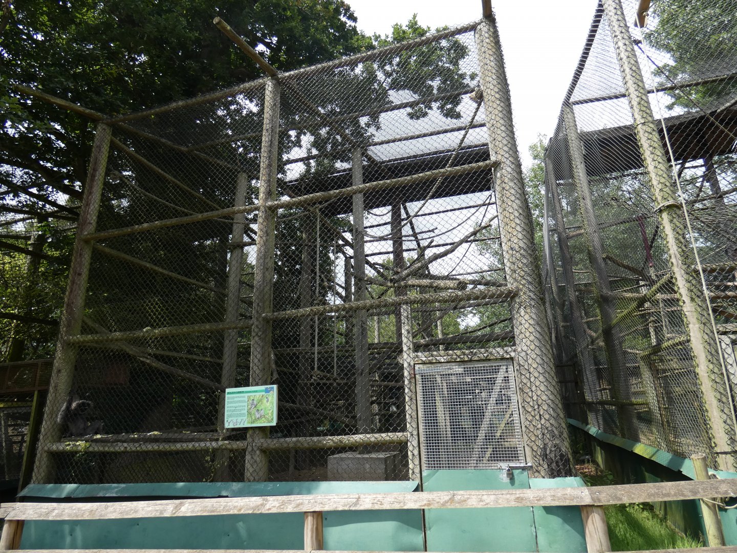 Moloch Gibbon enclosure (2)