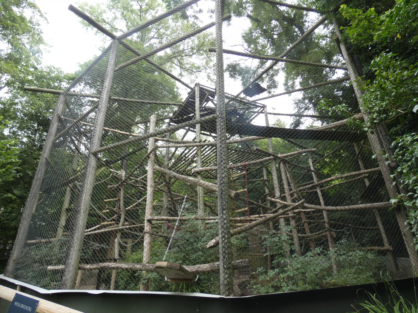 Moloch Gibbon enclosure