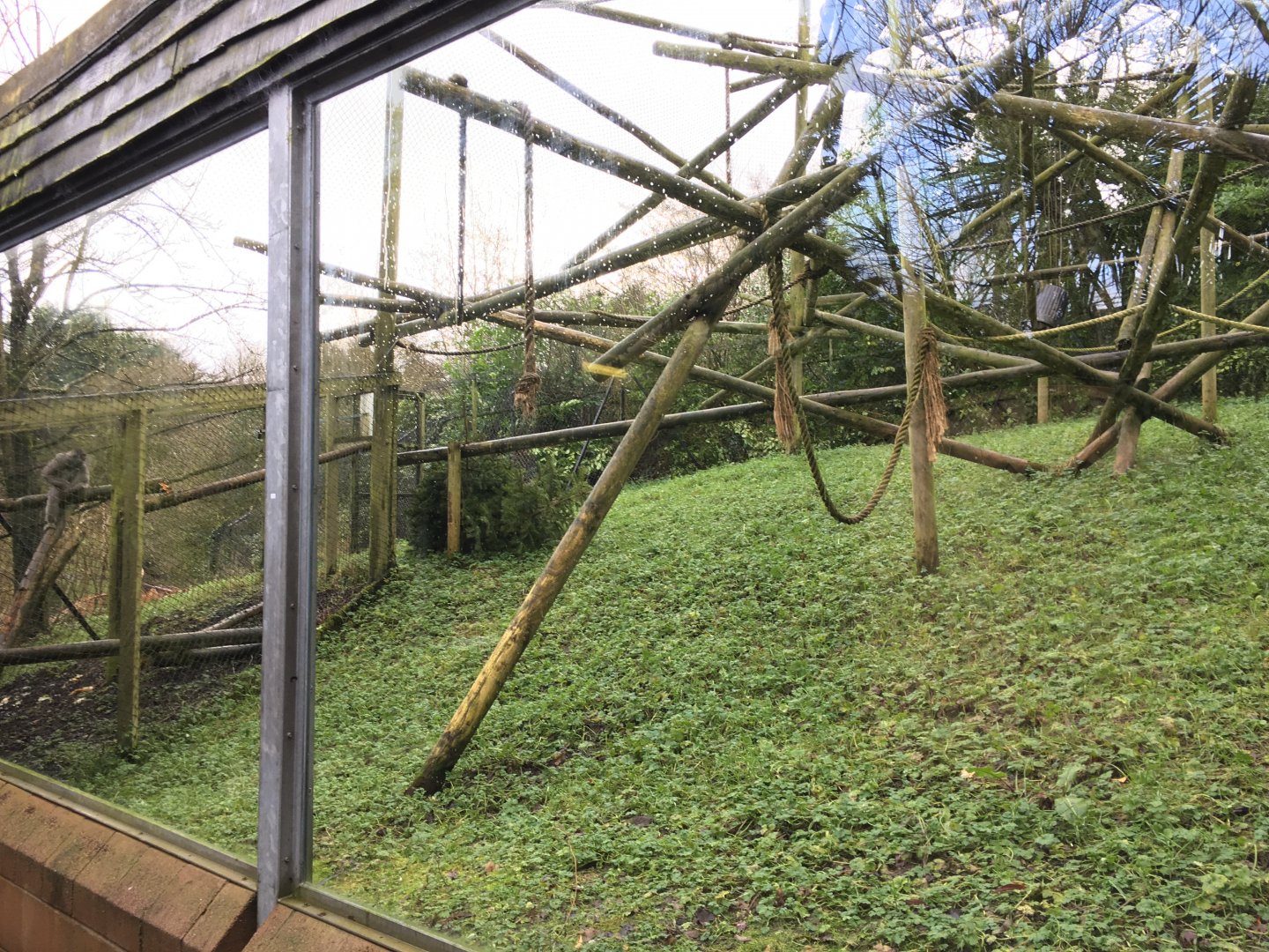 Moloch Gibbon exhibit