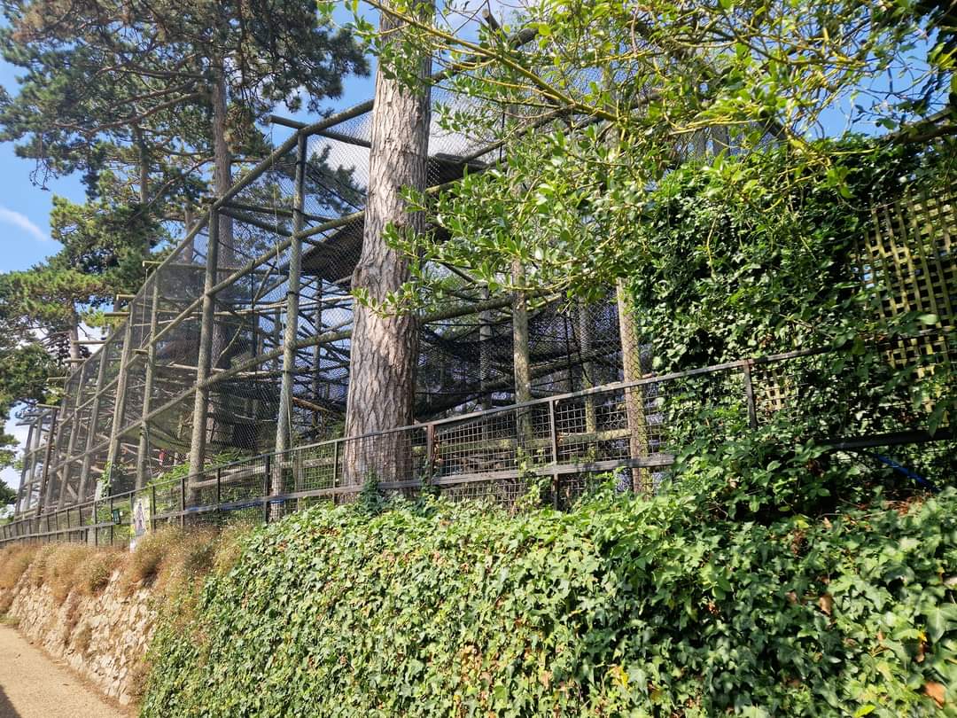 Moloch Gibbon exhibit