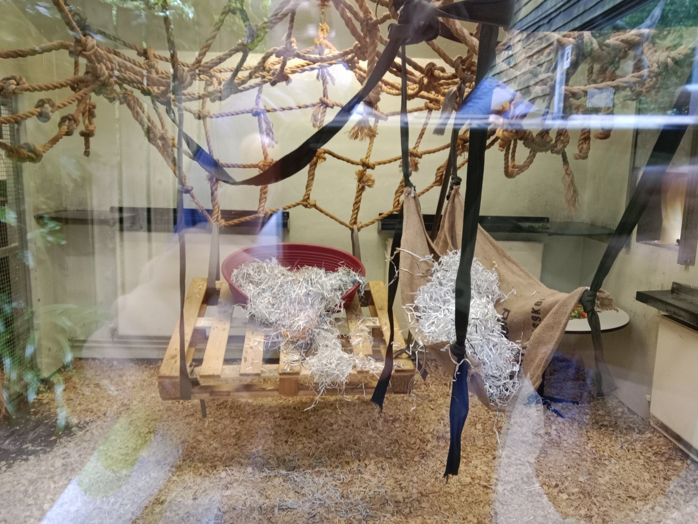 Moloch gibbon indoor enclosure