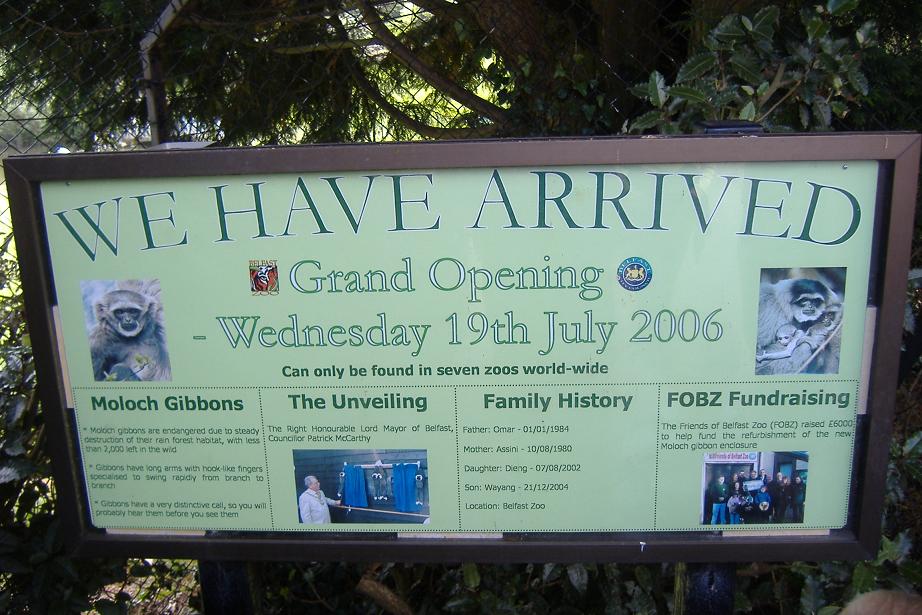 Moloch Gibbon sign at Belfast Summer 2007