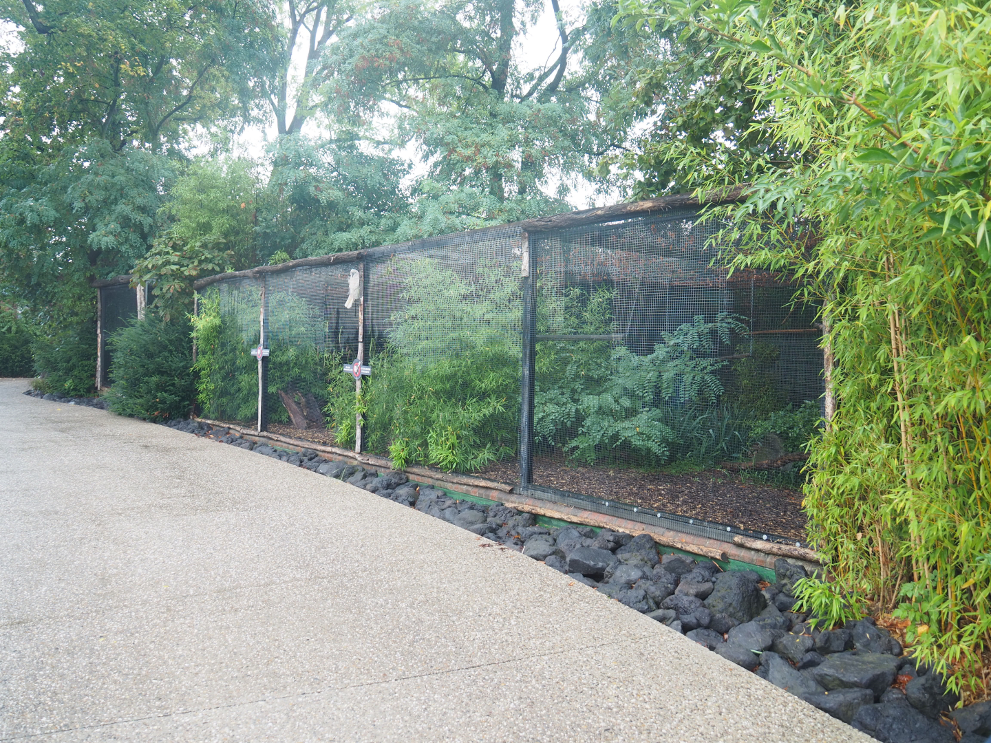 Moluccan cockatoo and Blue-headed macaw aviary, 2022-09-14
