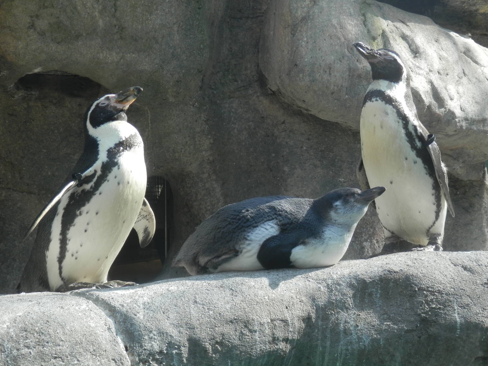 Mom, dad, and no longer a "baby"
