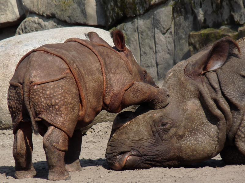 Mom, play with me...