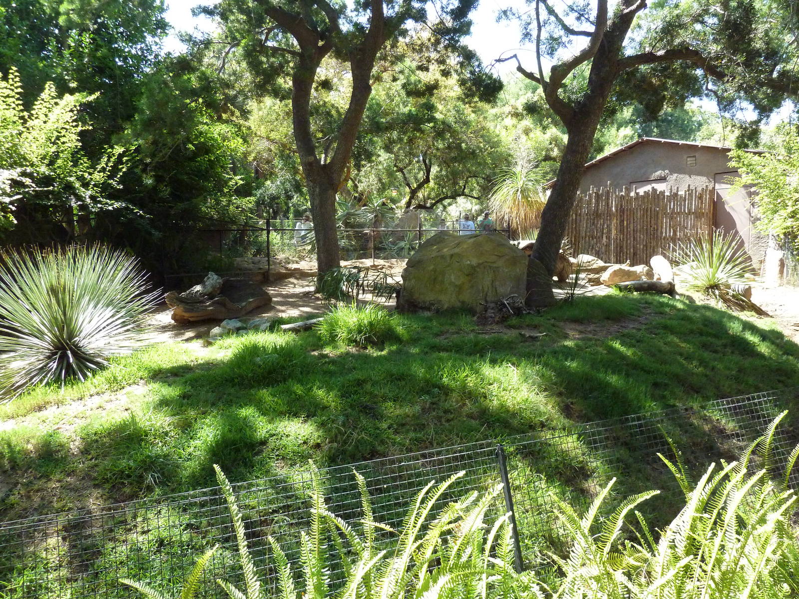 Mombasa Lagoon - Black Duiker Exhibit