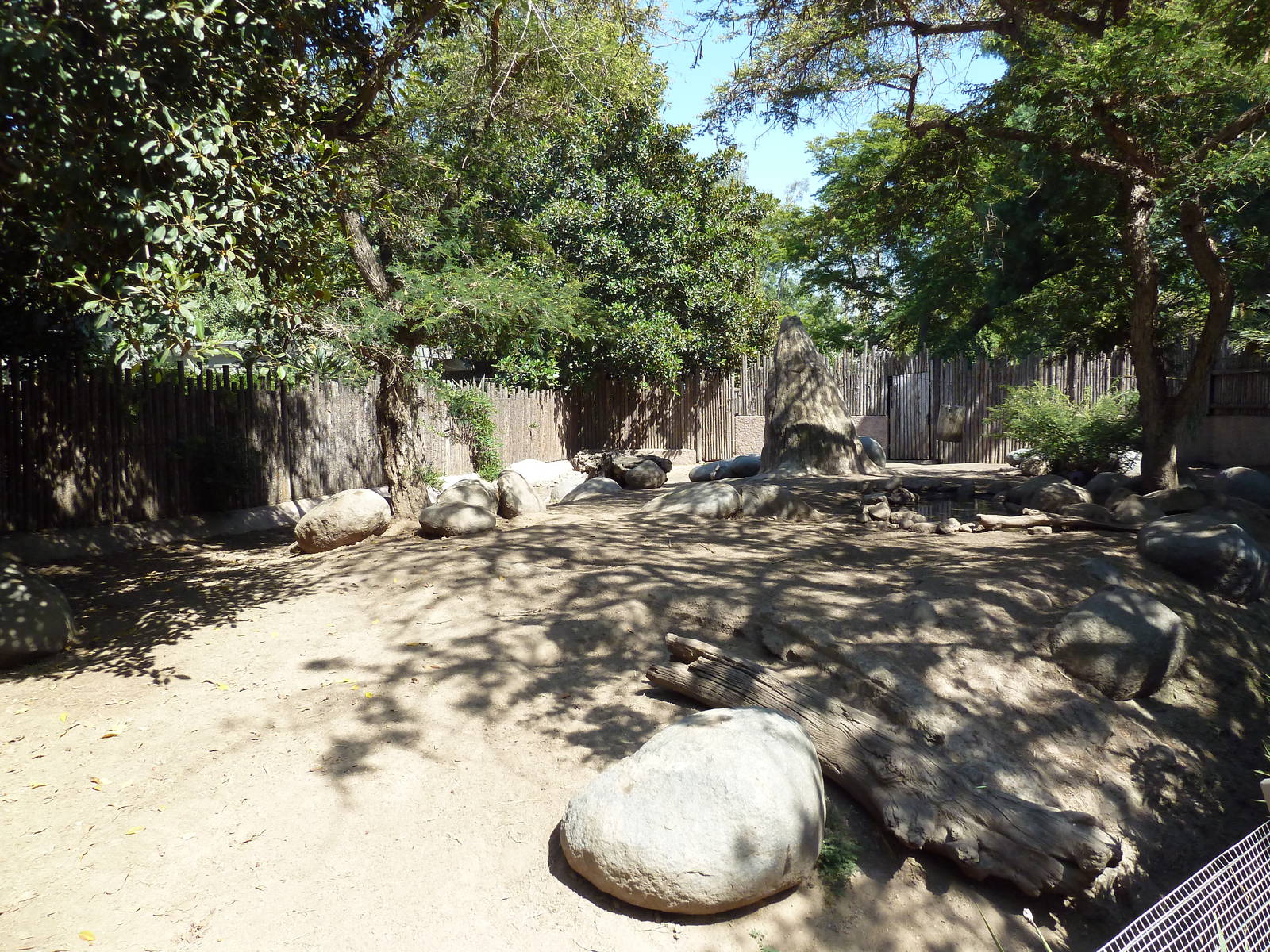 Mombasa Lagoon - Red River Hog Exhibit