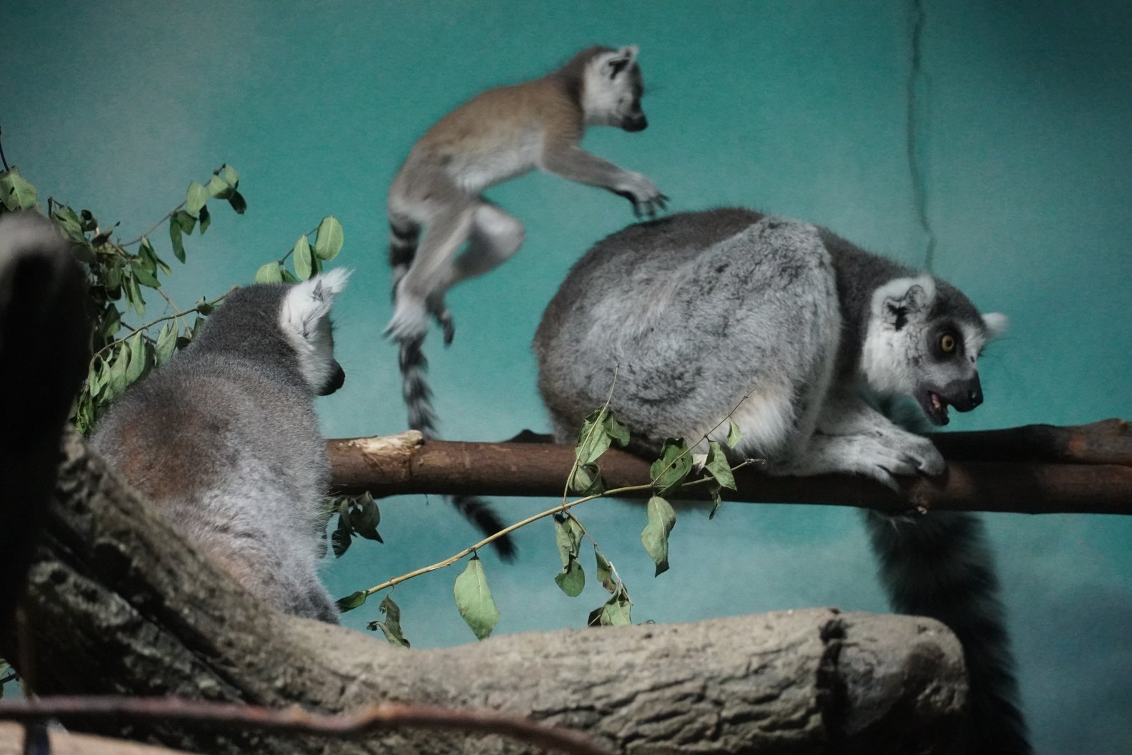 Moments Before disaster