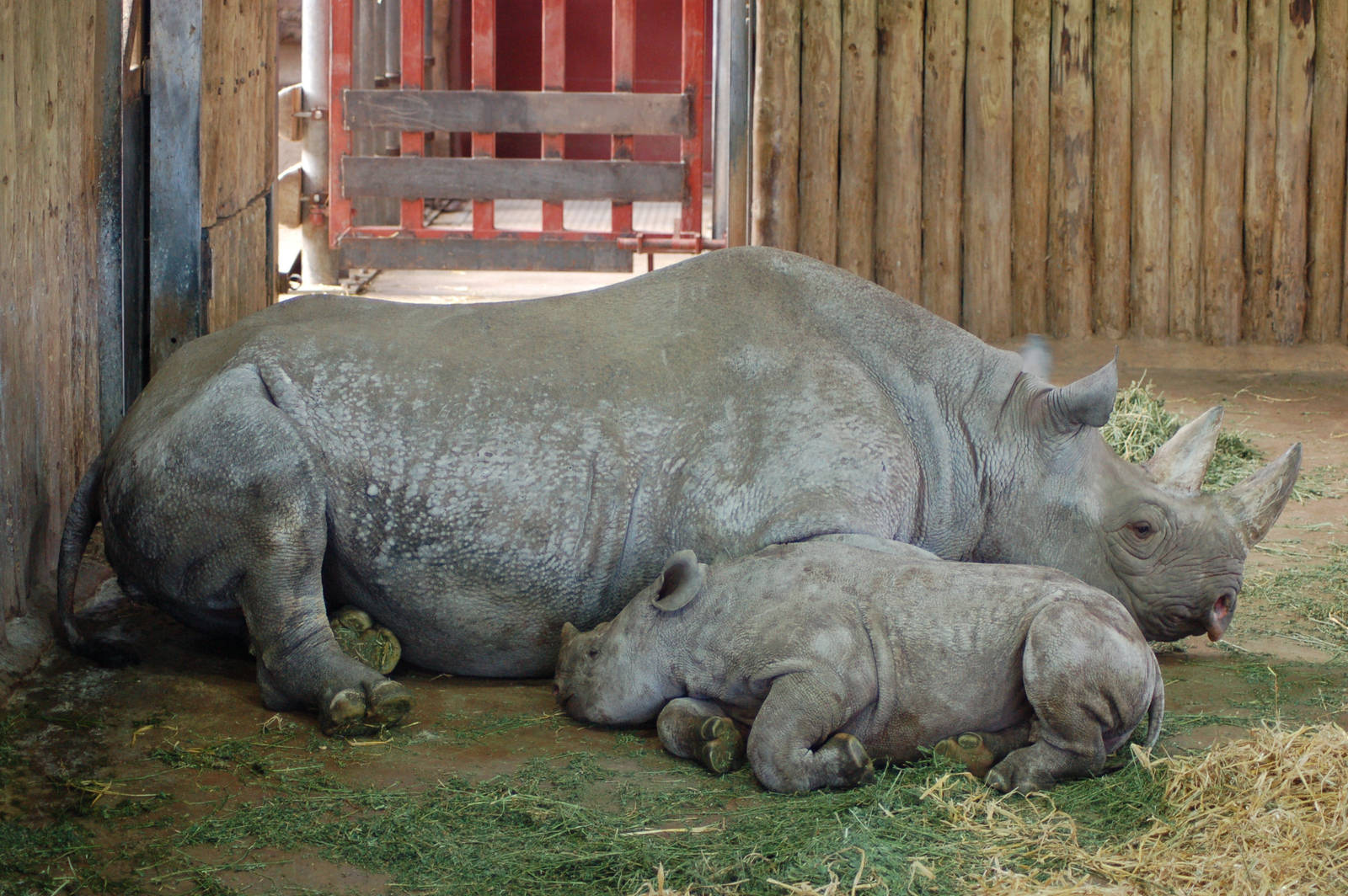 mommy & baby together