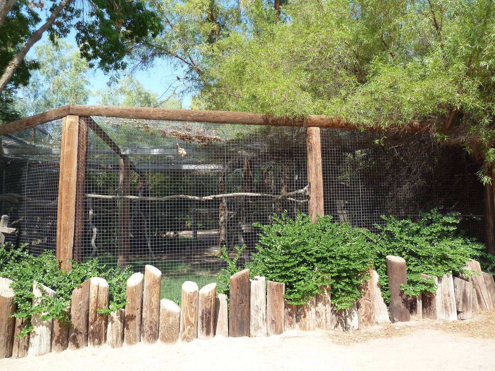 Mona Monkey Exhibit
