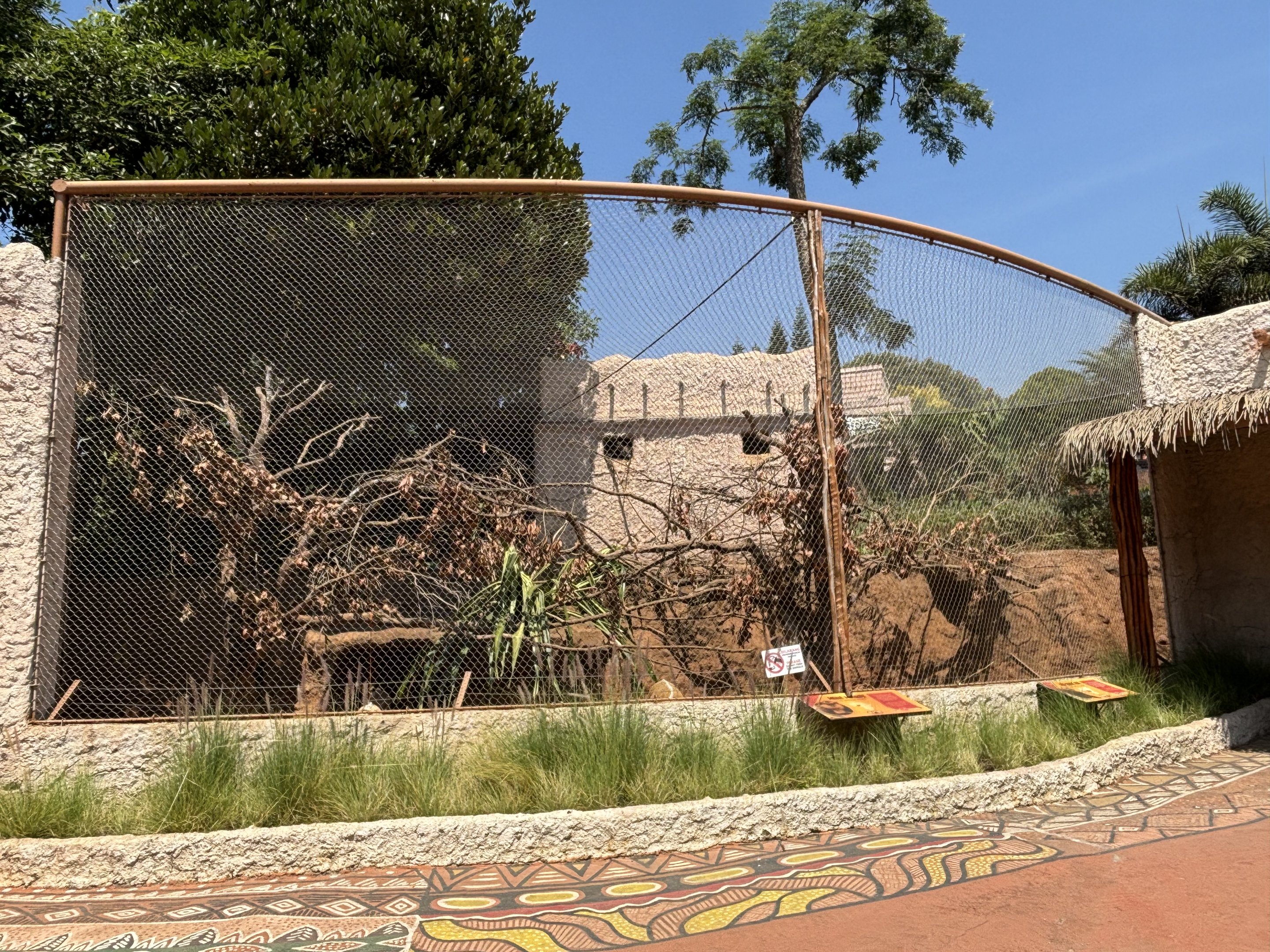 Mona Monkey + Red River Hog Exhibit