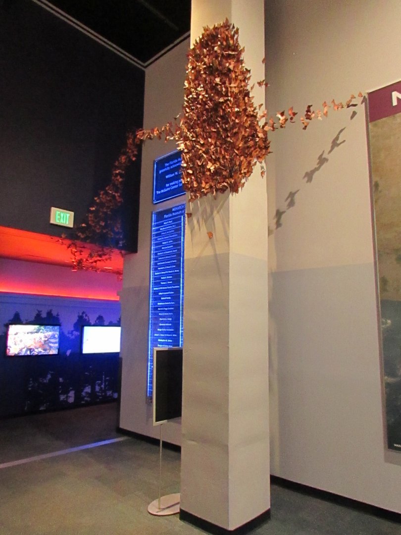 Monarch Butterflies On Column