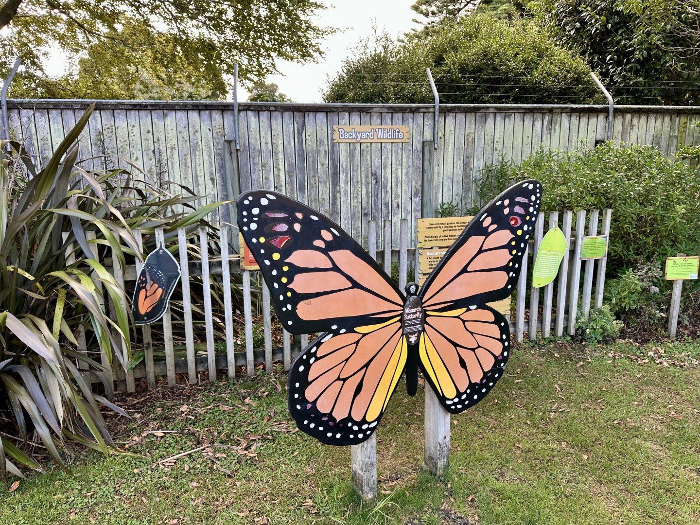 Monarch Butterfly Garden