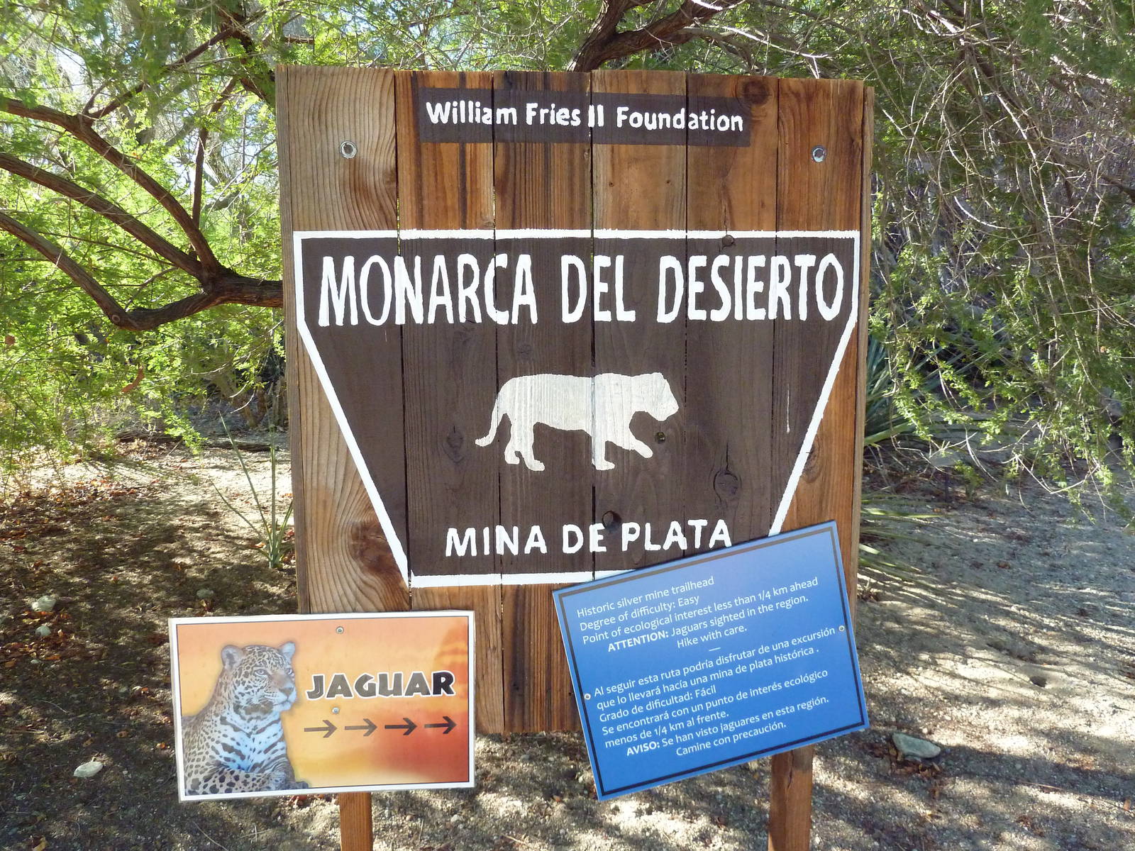 Monarch of the Desert - Jaguar Exhibit