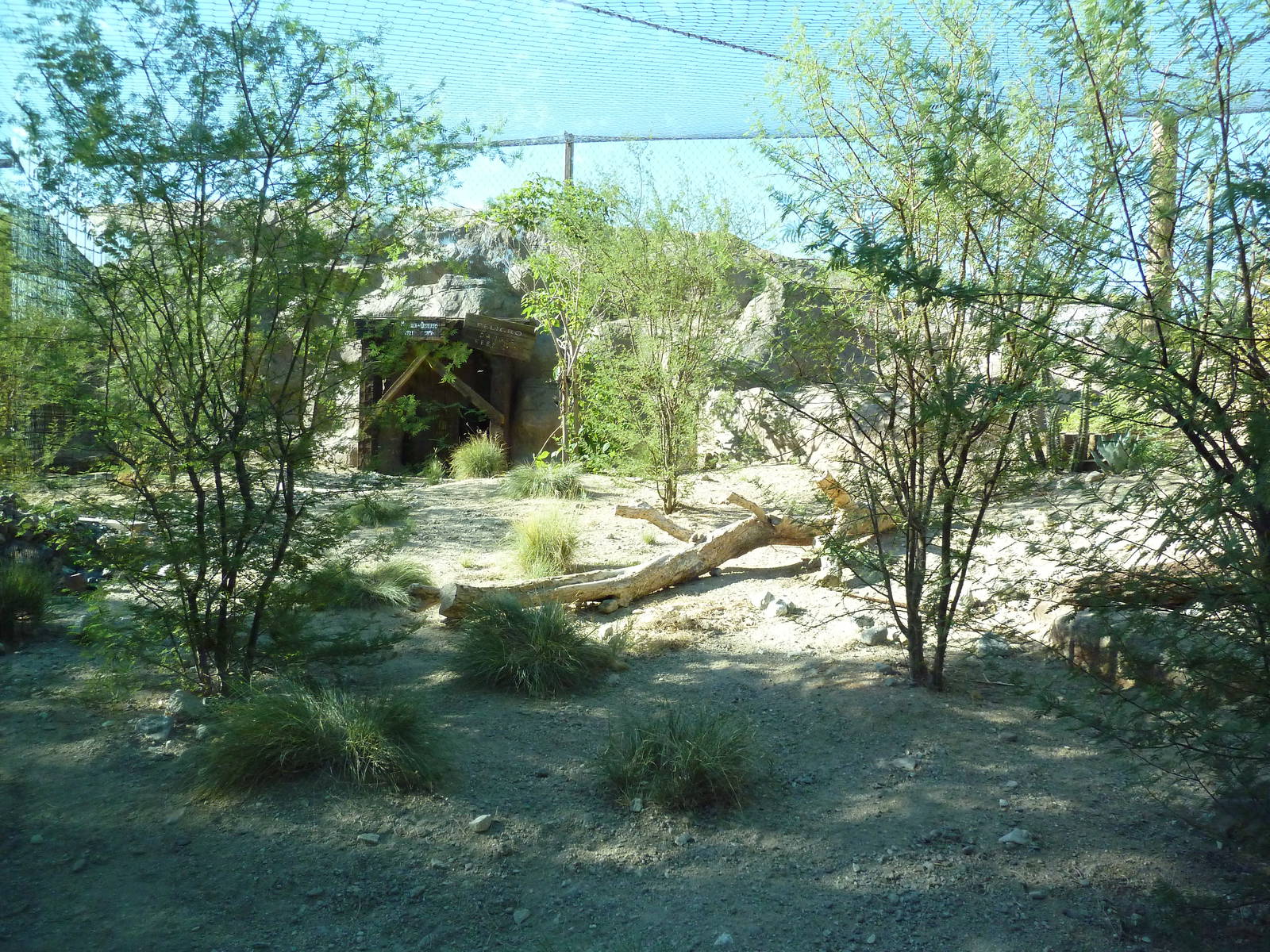 Monarch of the Desert - Jaguar Exhibit