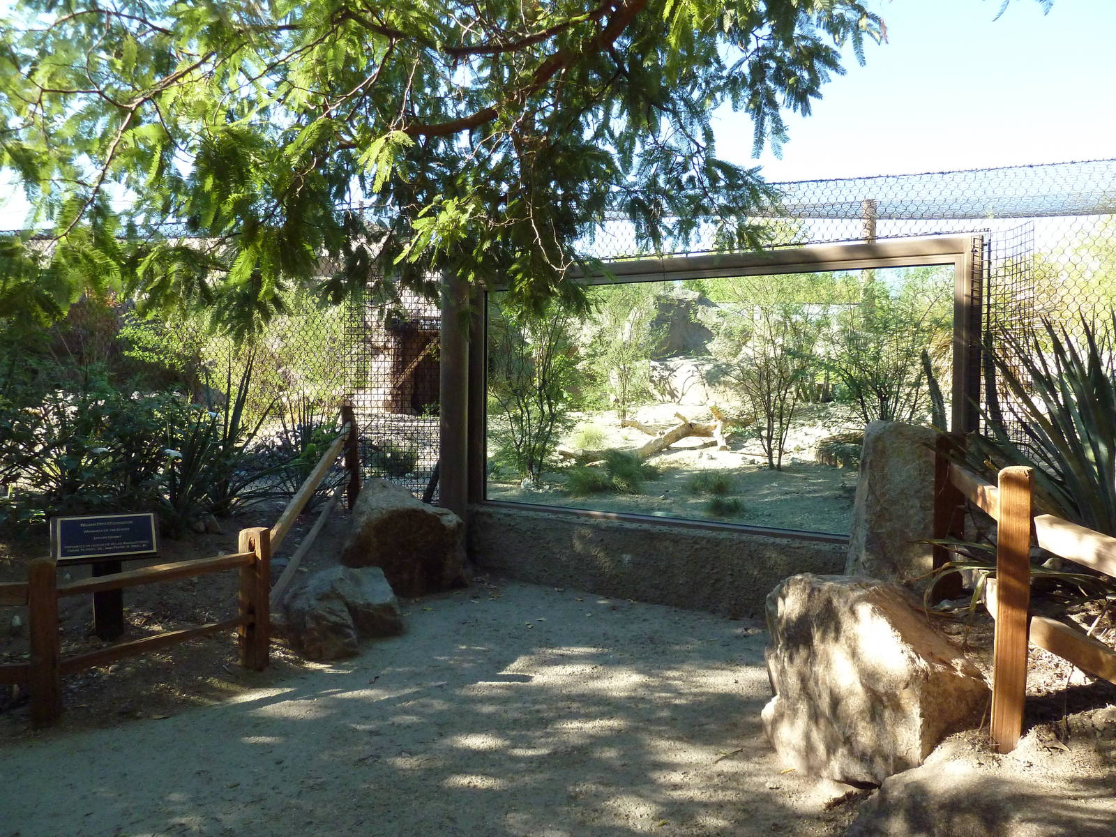 Monarch of the Desert - Jaguar Exhibit