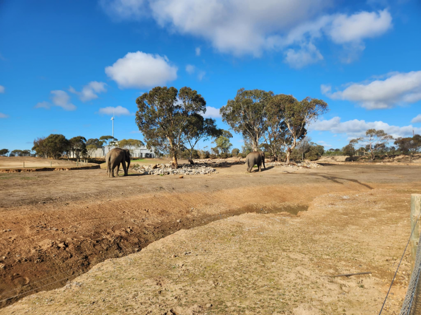 Monarto Safari Park - Elephant Exhibit (Area One)