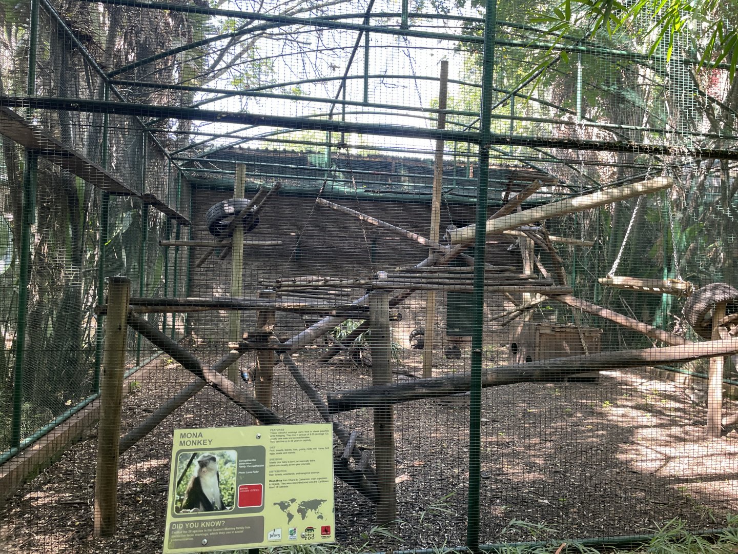 Mona's Monkey Exhibit   (Now contains lemurs)