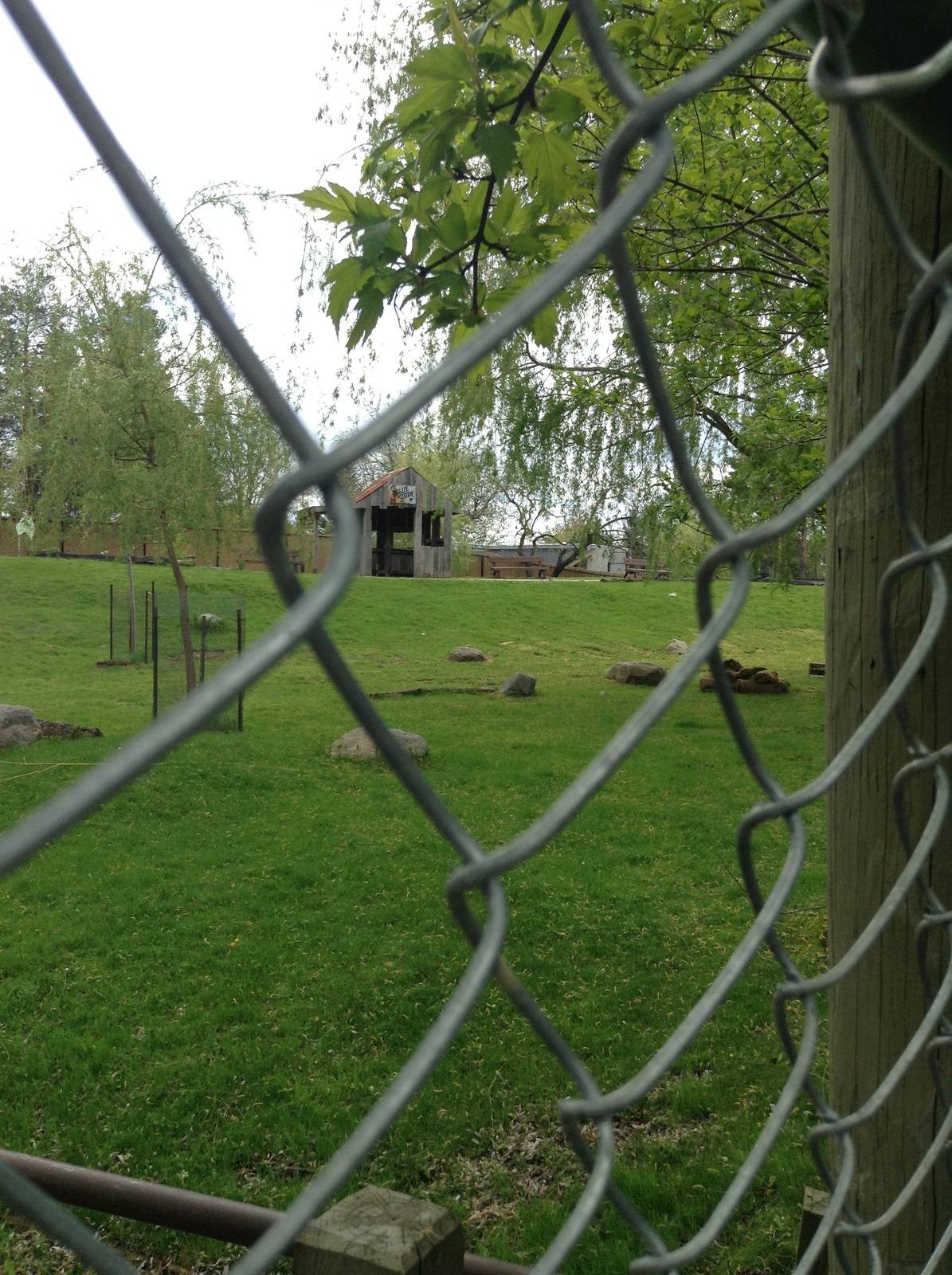 Monday May 13th, 2013-Look at the back right corner