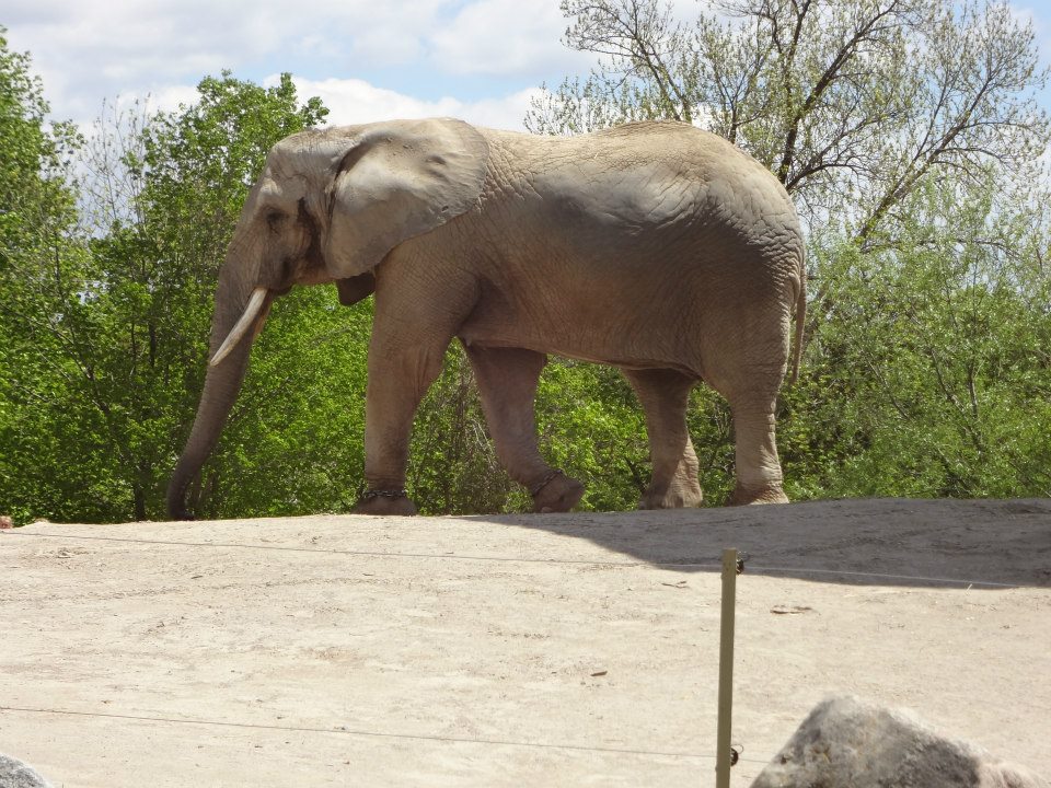 Monday May 13th, 2013-One of Our Girls