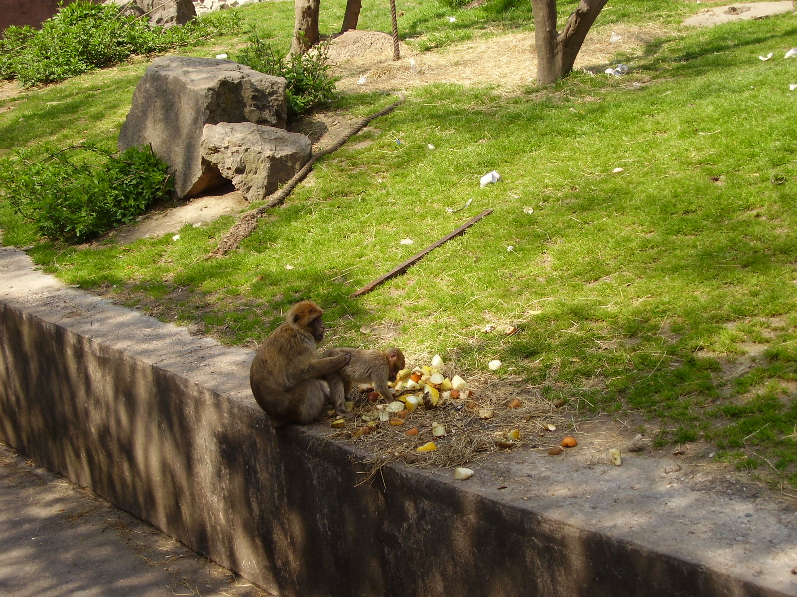 Money exhibit - 2010