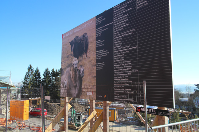 Mongolian Steppe construction