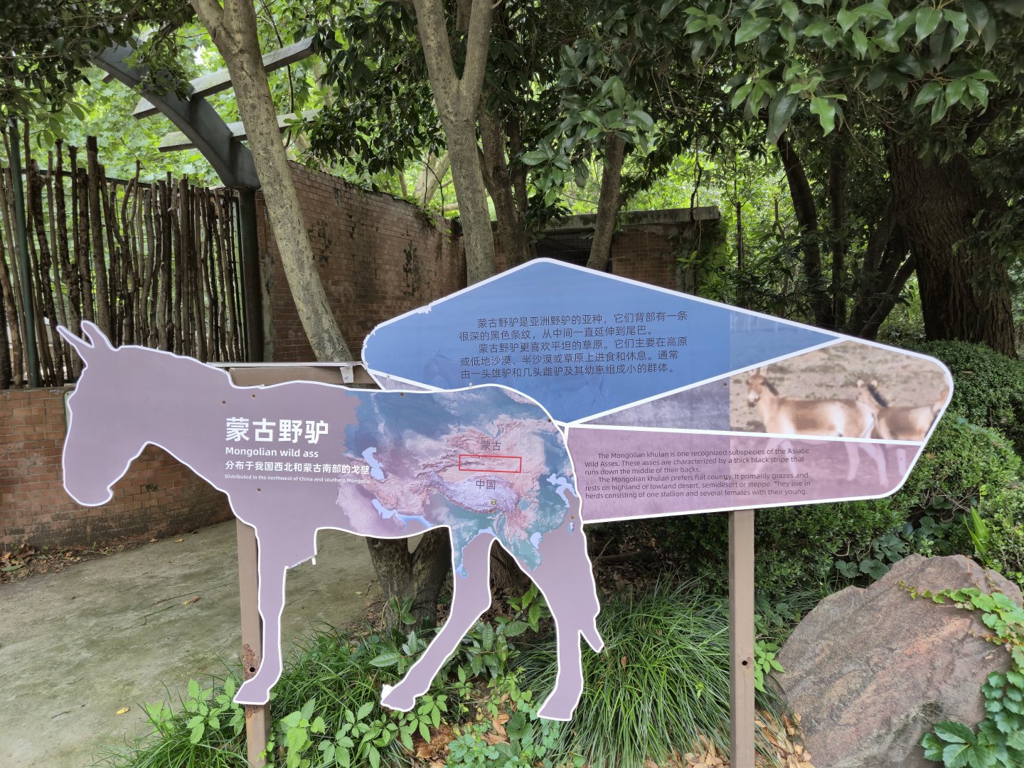 Mongolian Wild Ass Sign