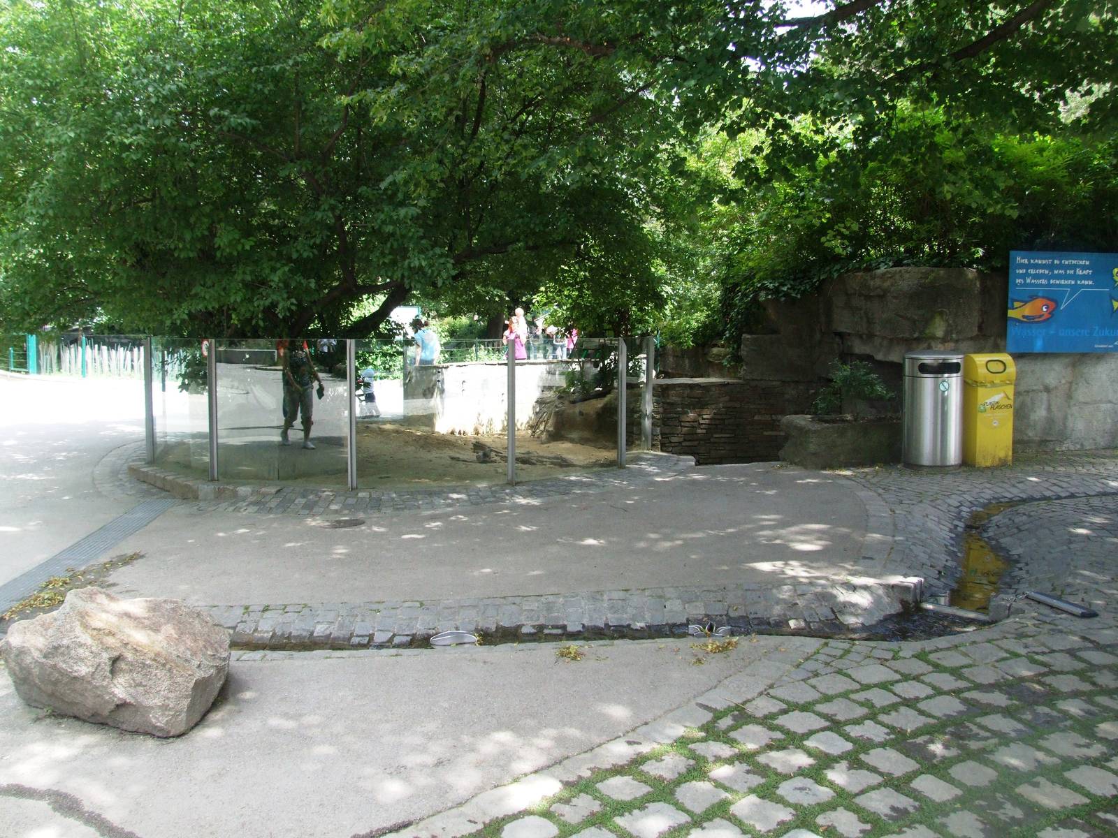 Mongoose Enclosure and Water Feature at Vienna, 14/06/13