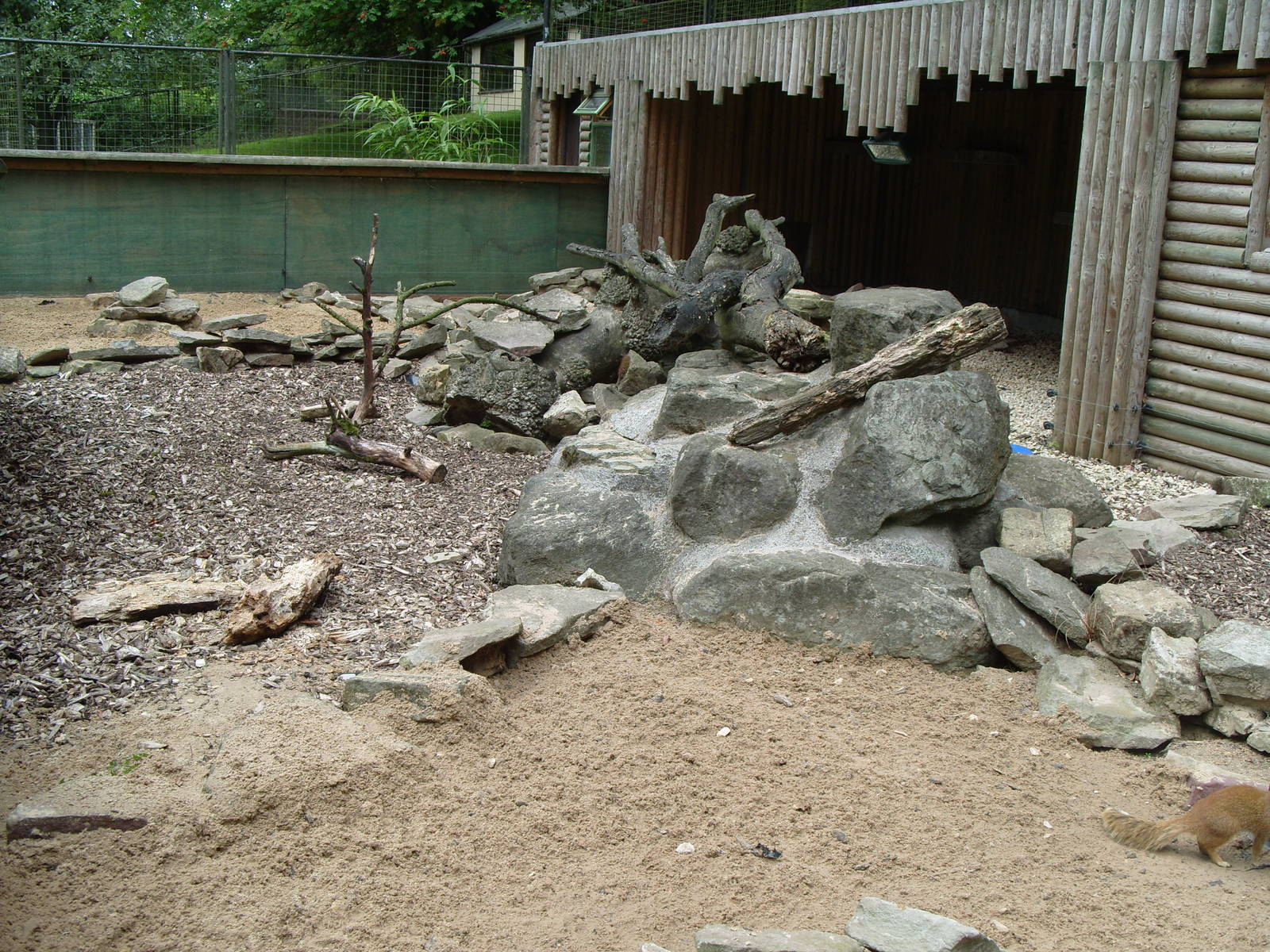 Mongoose Enclosure