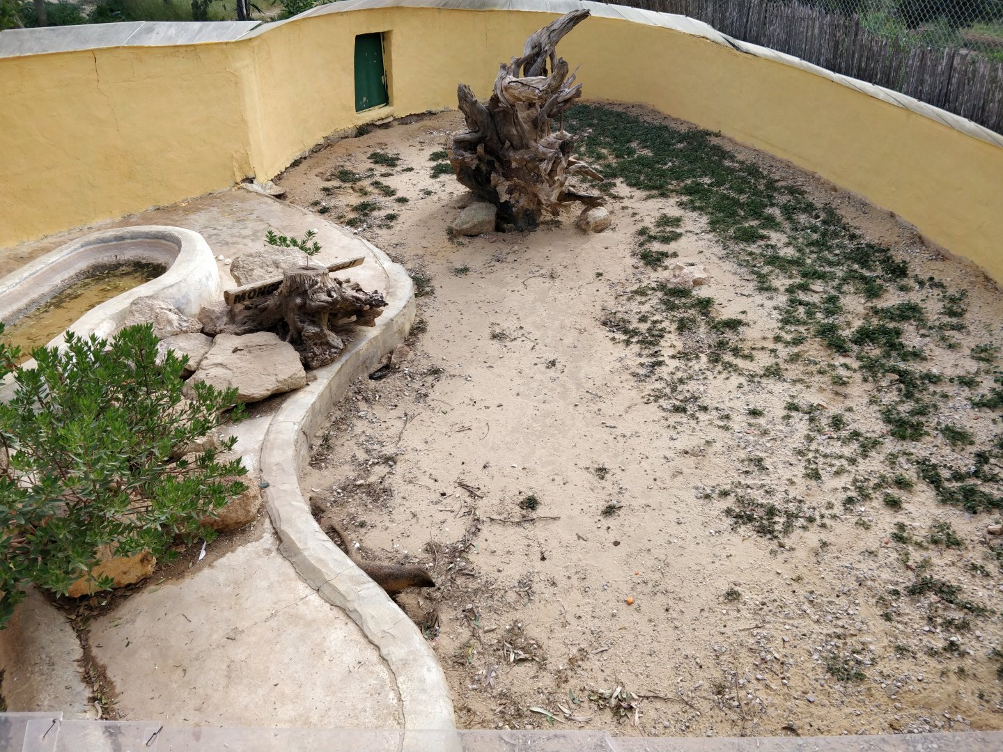 mongoose enclosure