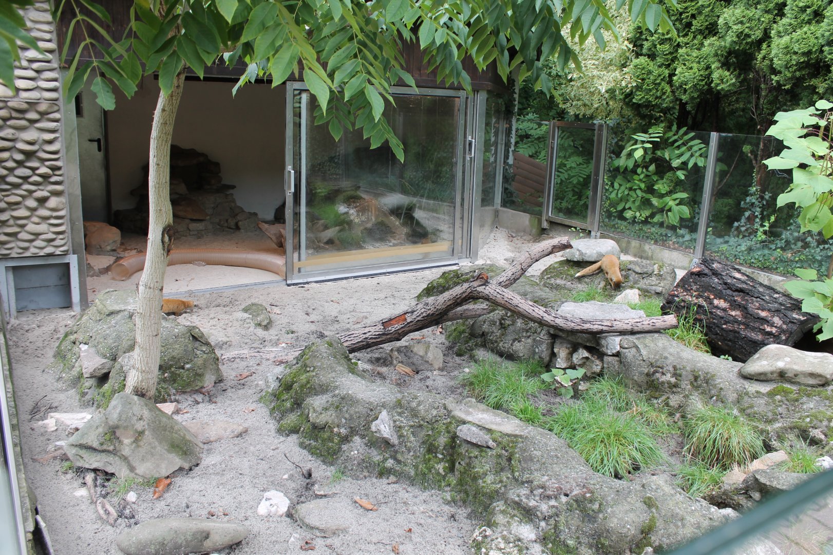 Mongoose Enclosure