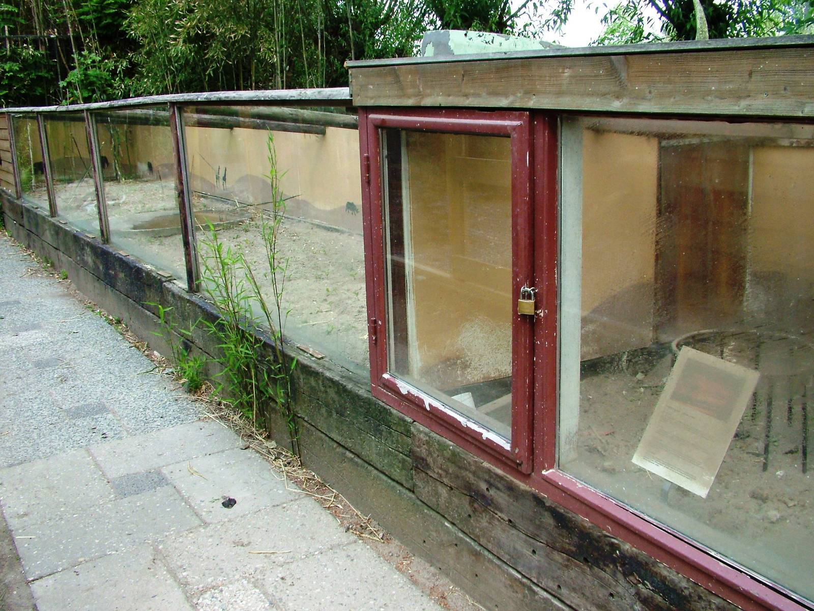 Mongoose Exhibit at De Paay, 02/06/12