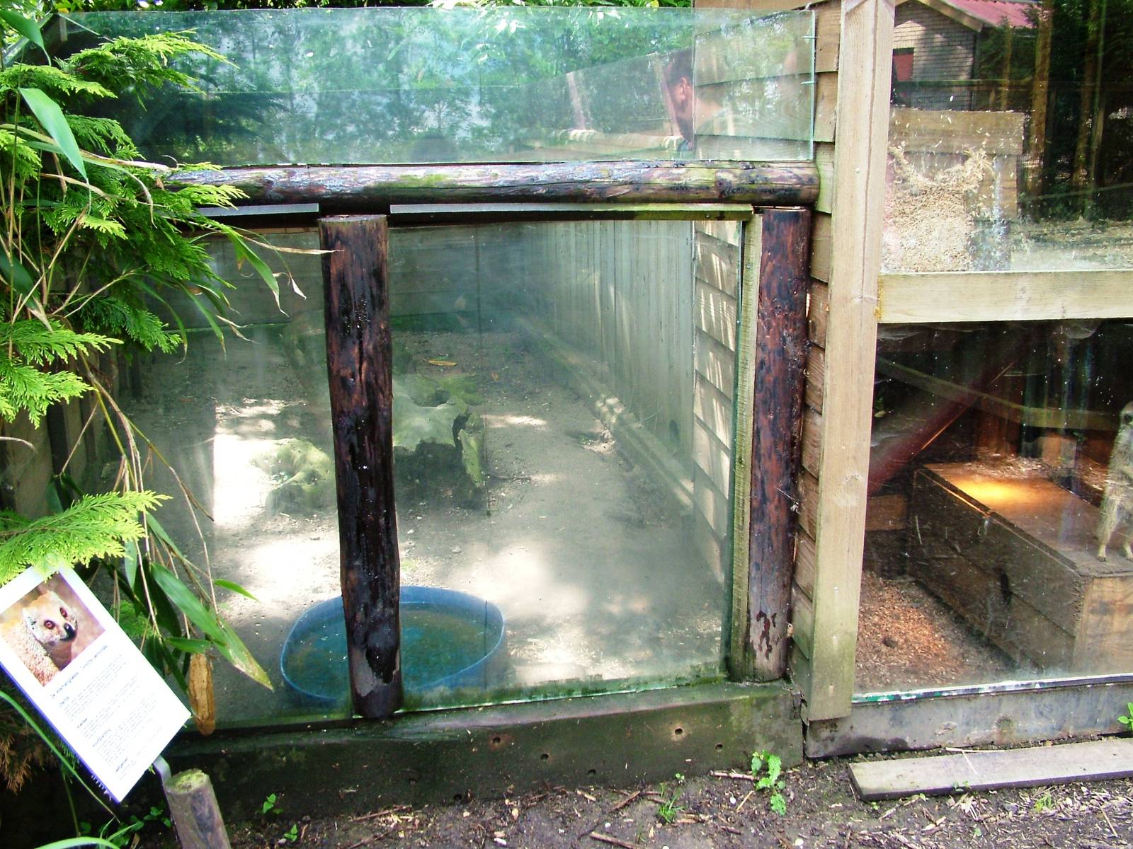 Mongoose Exhibit at De Paay, 02/06/12