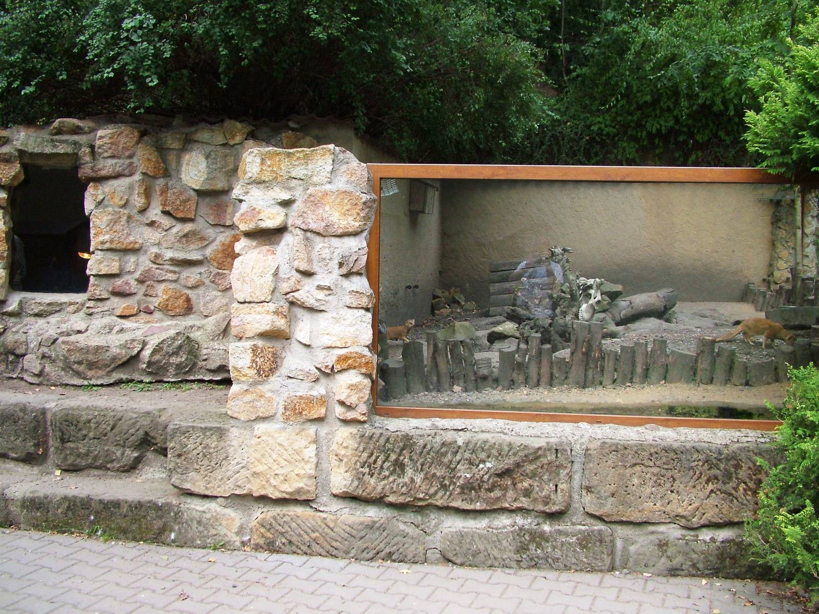 Mongoose Exhibit at Decin, 28/08/12